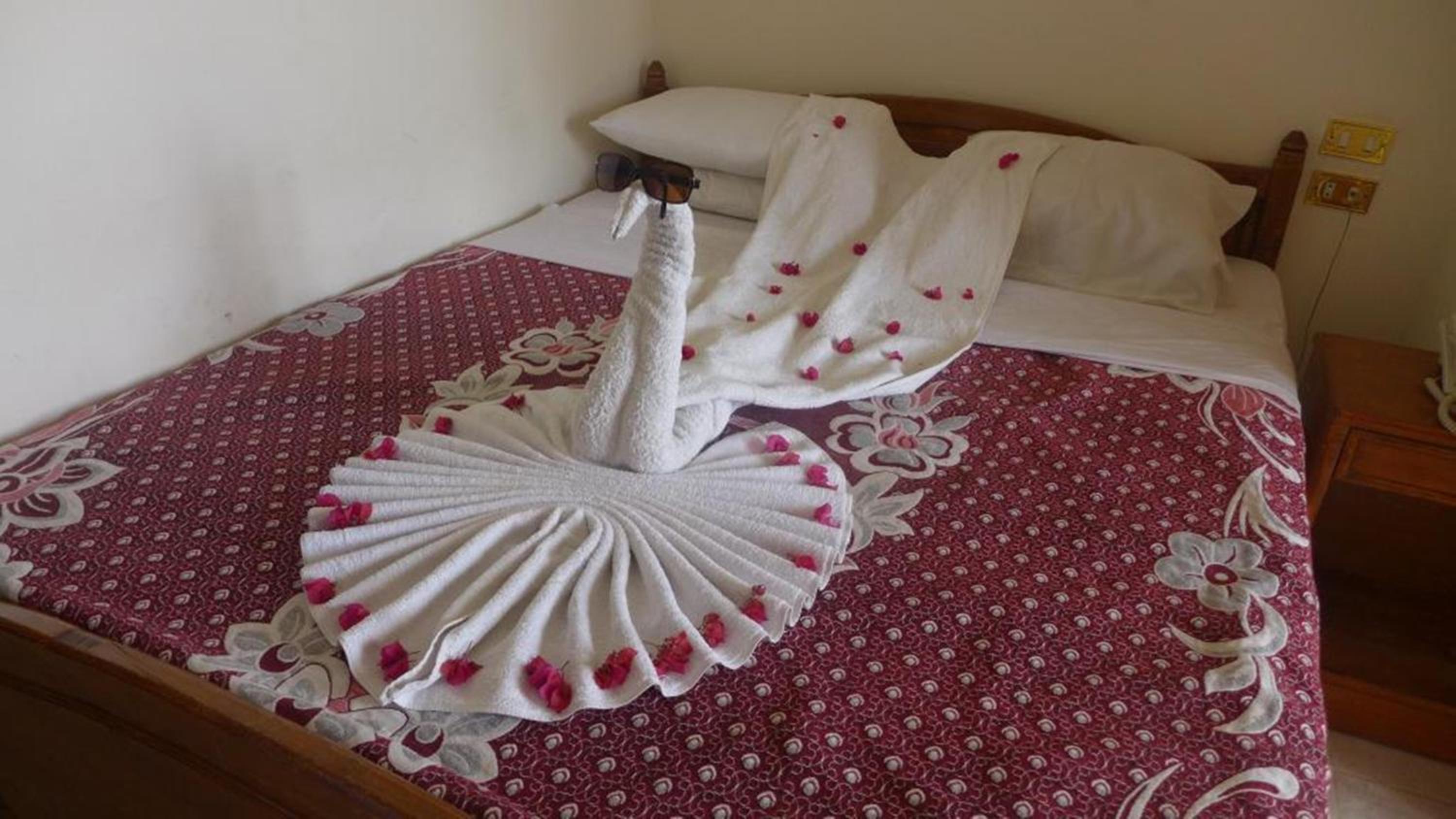 Standard Double Room, Partial River View