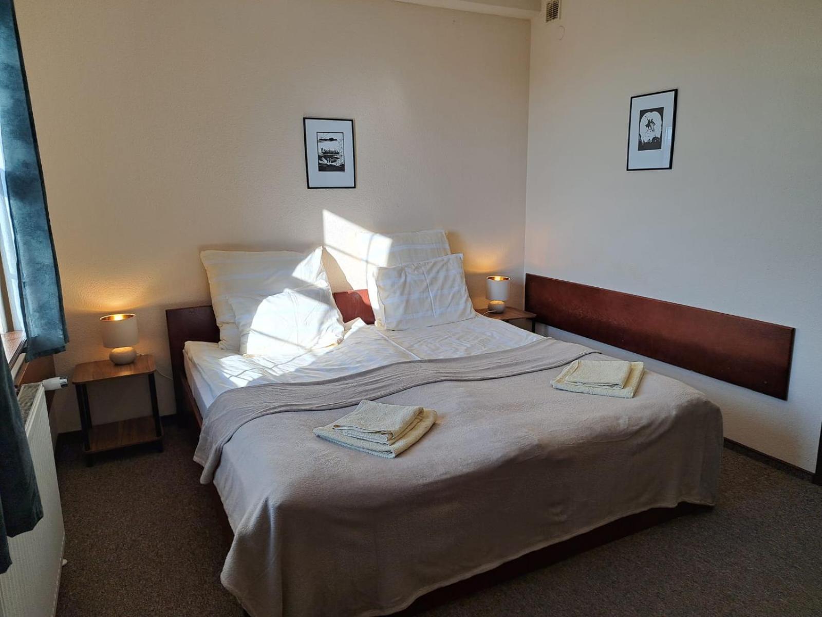 Deluxe Double or Twin Room photo 2