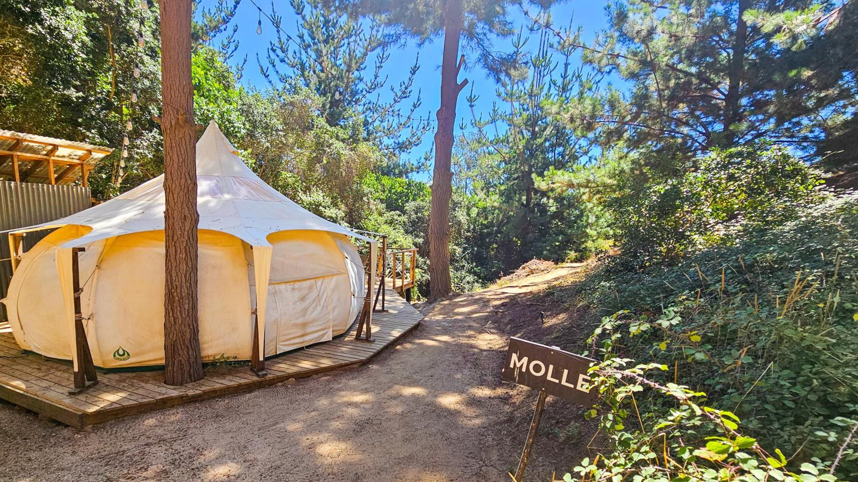 Tent photo 2