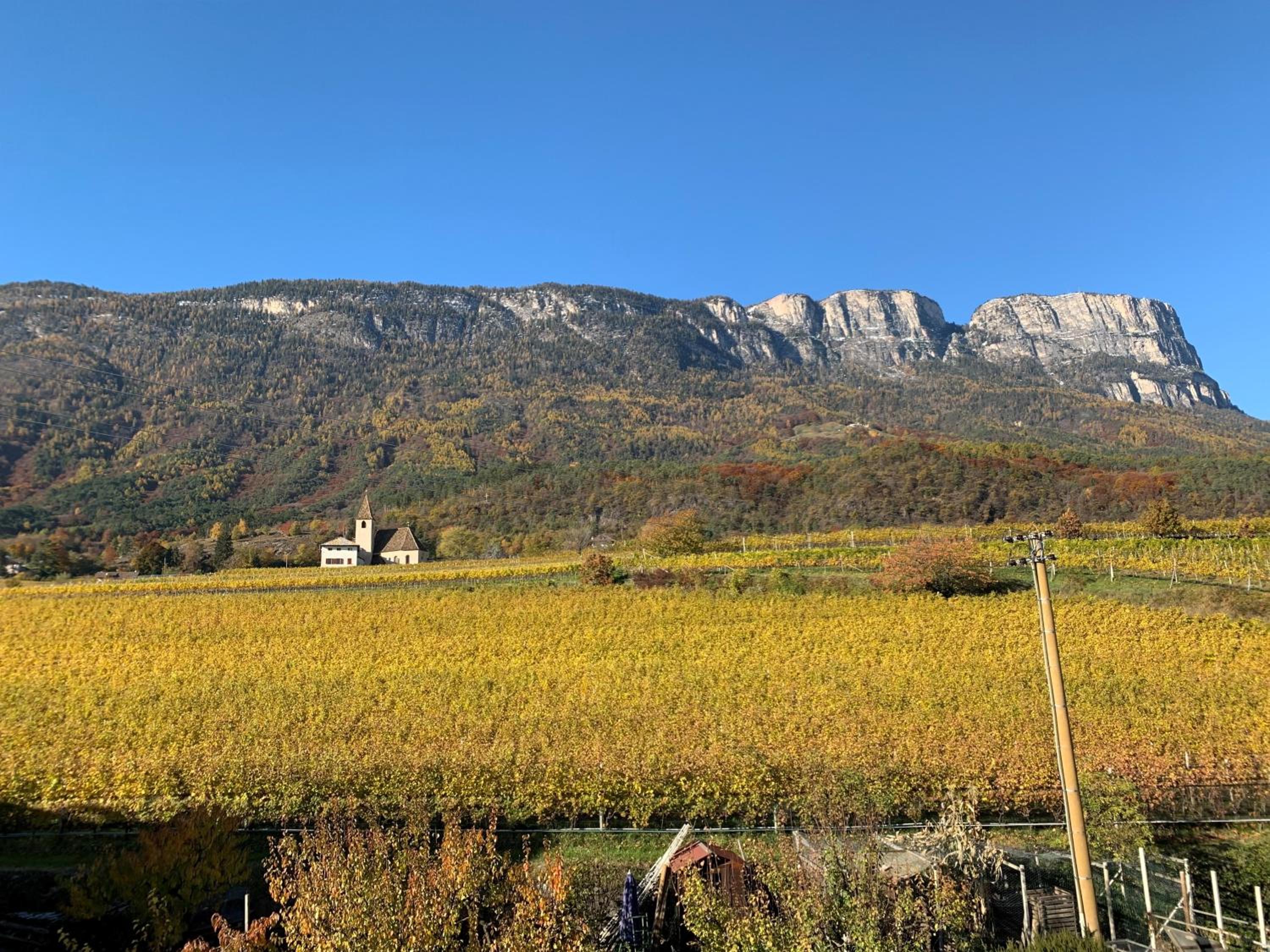 Double Room with Mountain View