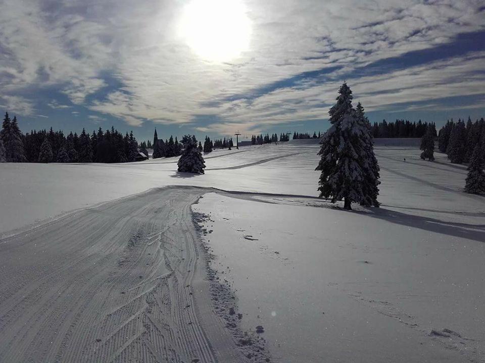 Superior Chalet photo 3