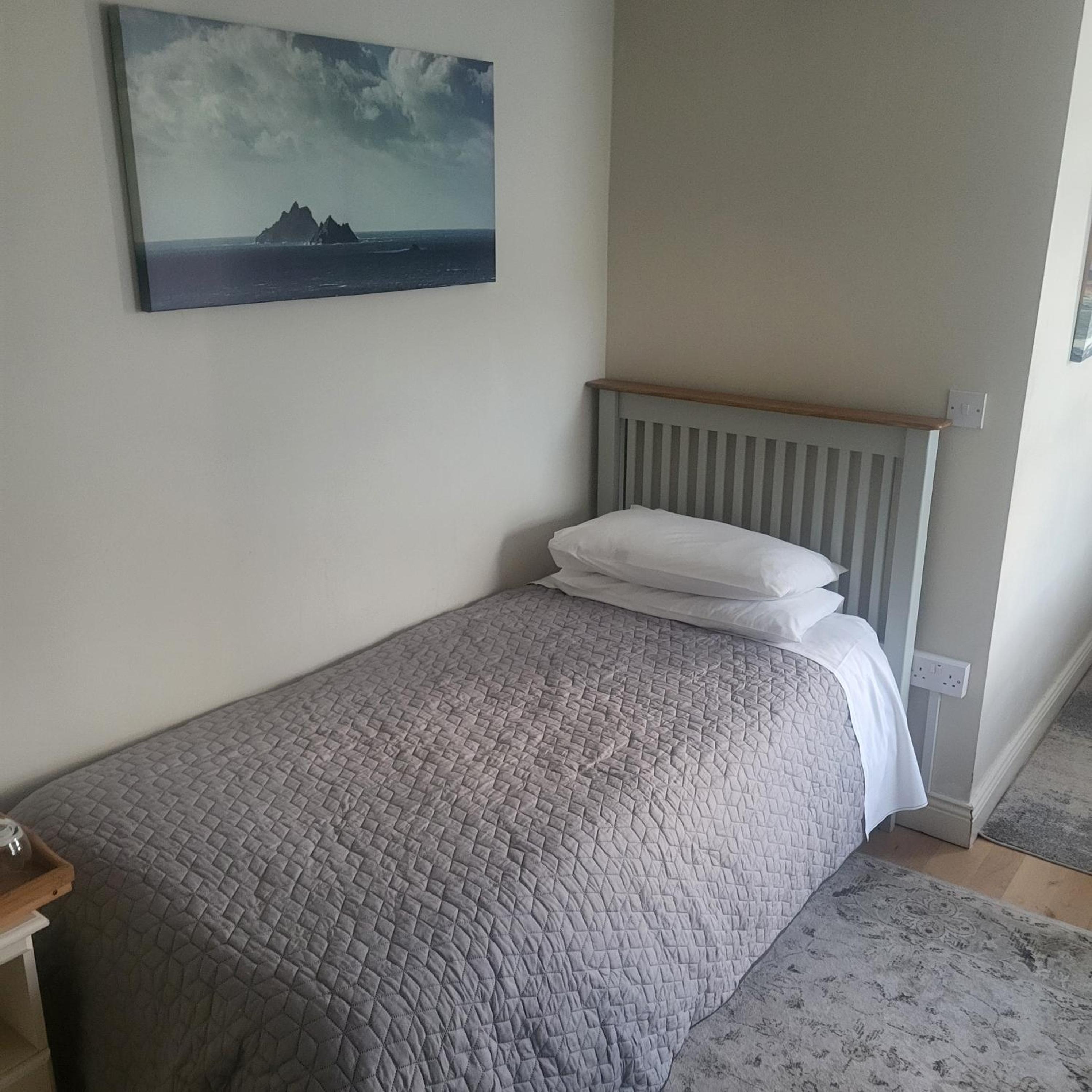 Deluxe Double or Twin Room with Mountain View photo 2