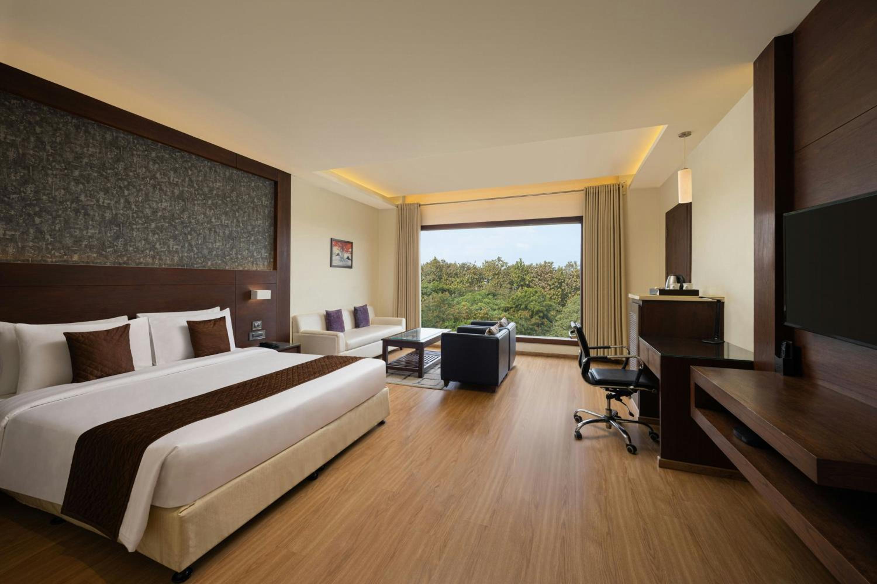 Winter Green Premium King Room with City View - Photo 1