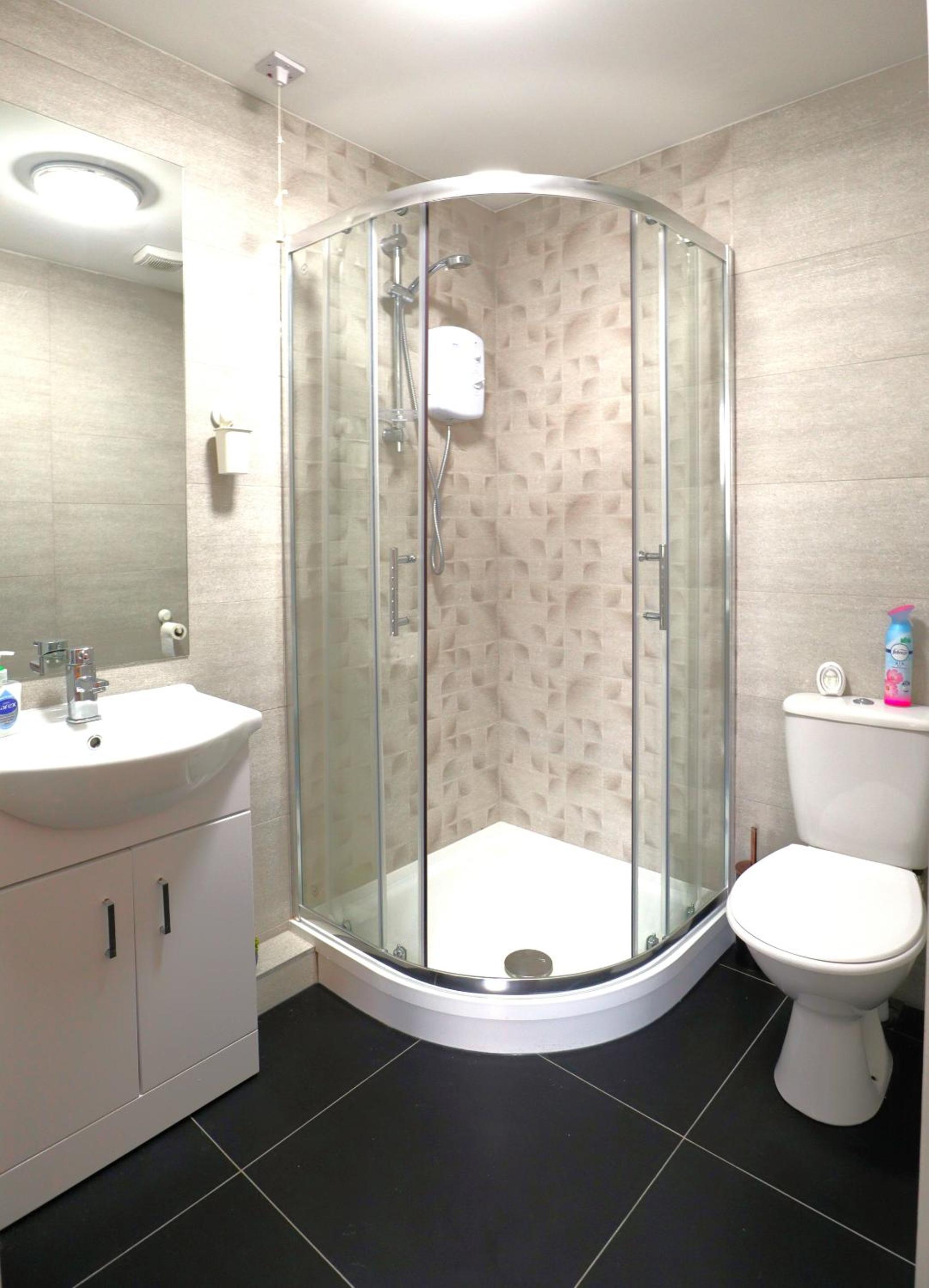 Deluxe One-Bedroom Apartment