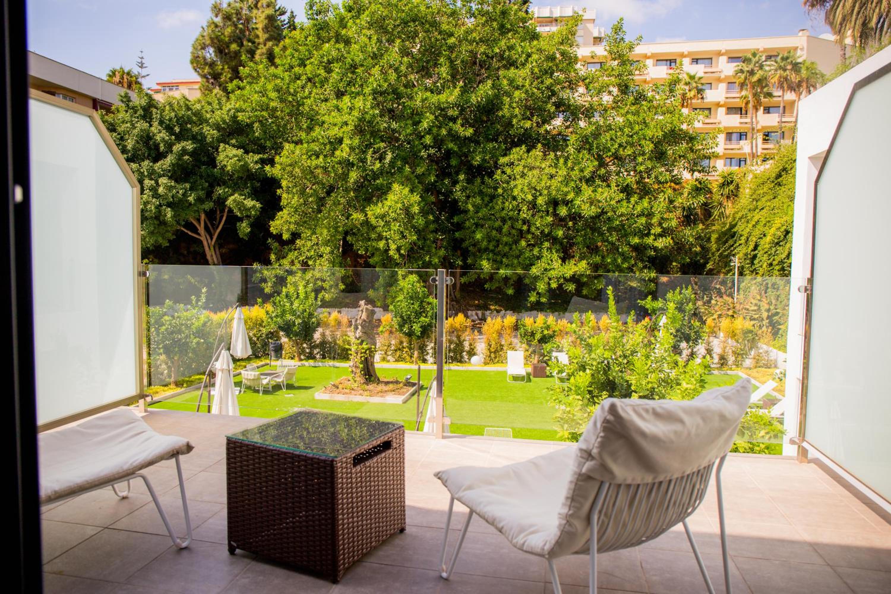 Studio with Terrace photo 2