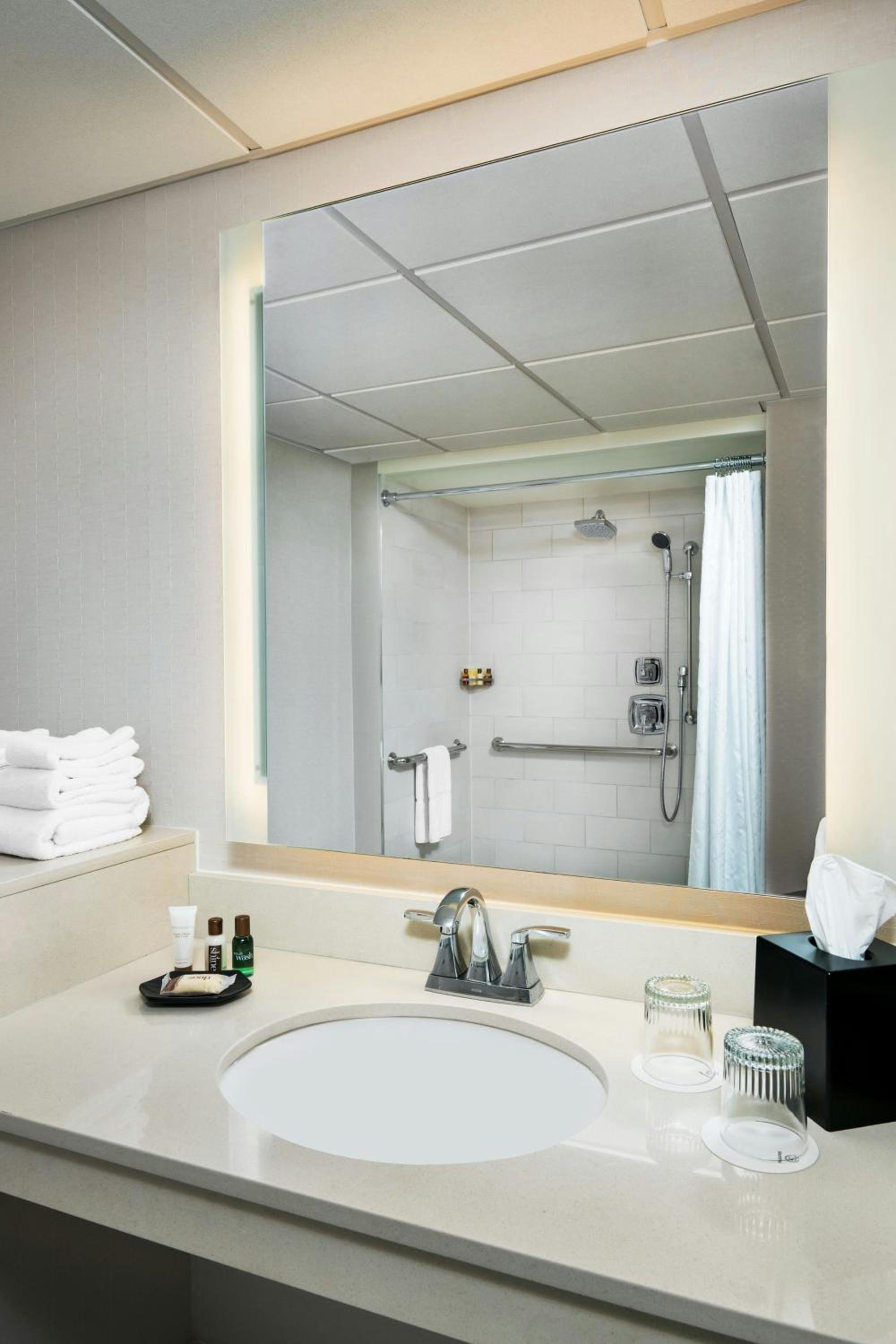 Traditional King Room with Bath Tub - Mobility Accessible - Photo 3