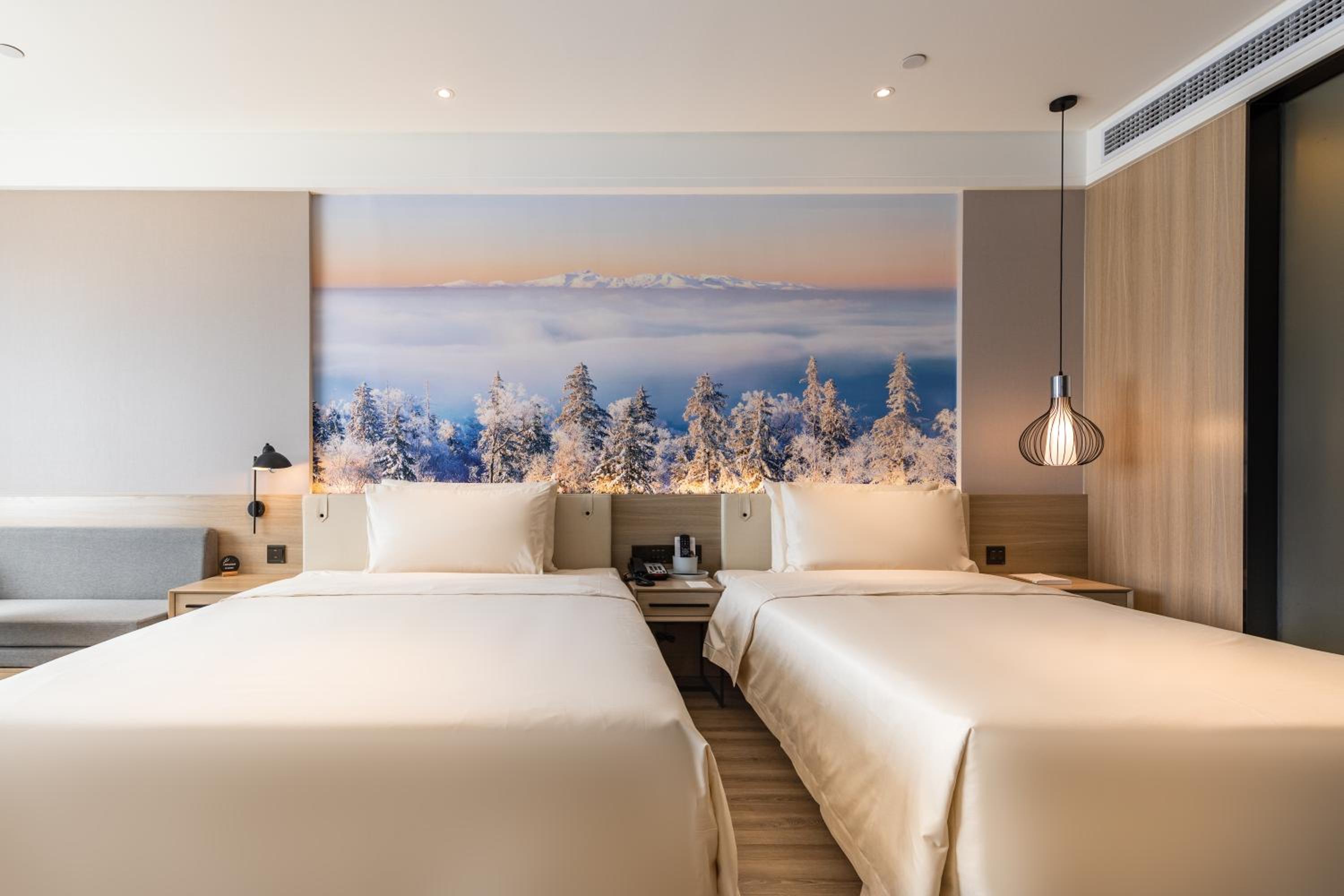 Twin Room with Terrace photo 2