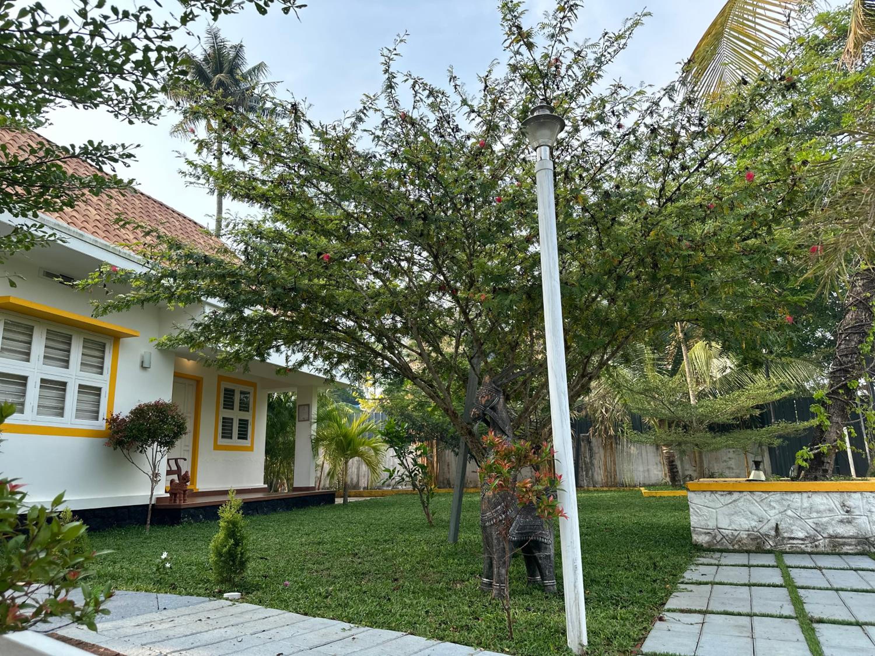 Double Room with Lake View photo 1