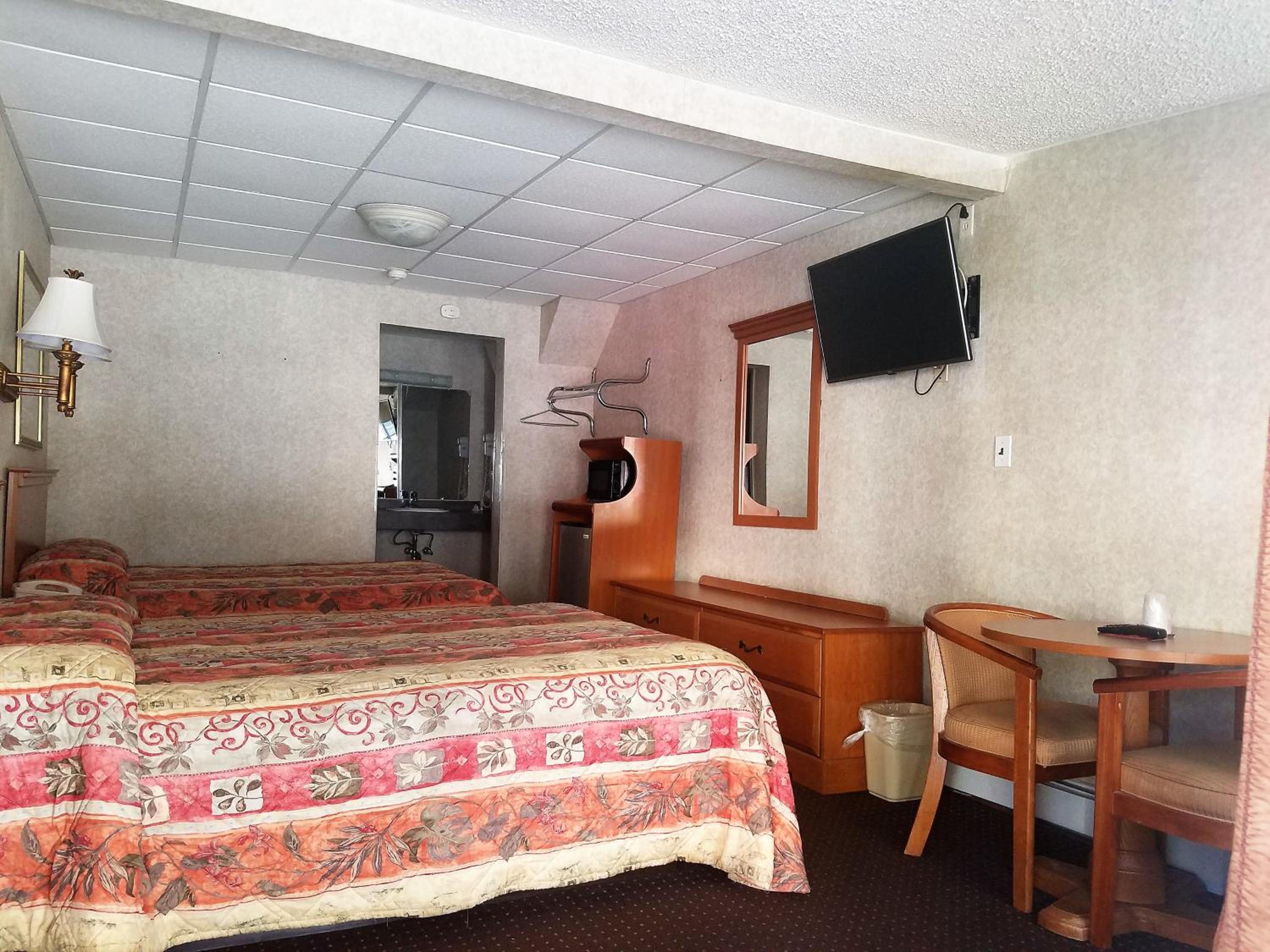 Large Double Room photo 3