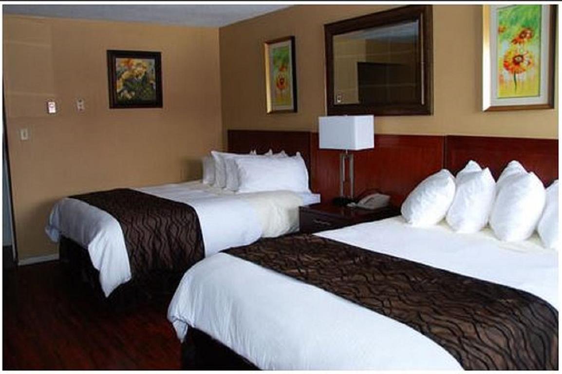 Deluxe Double Room-Smoking photo 3