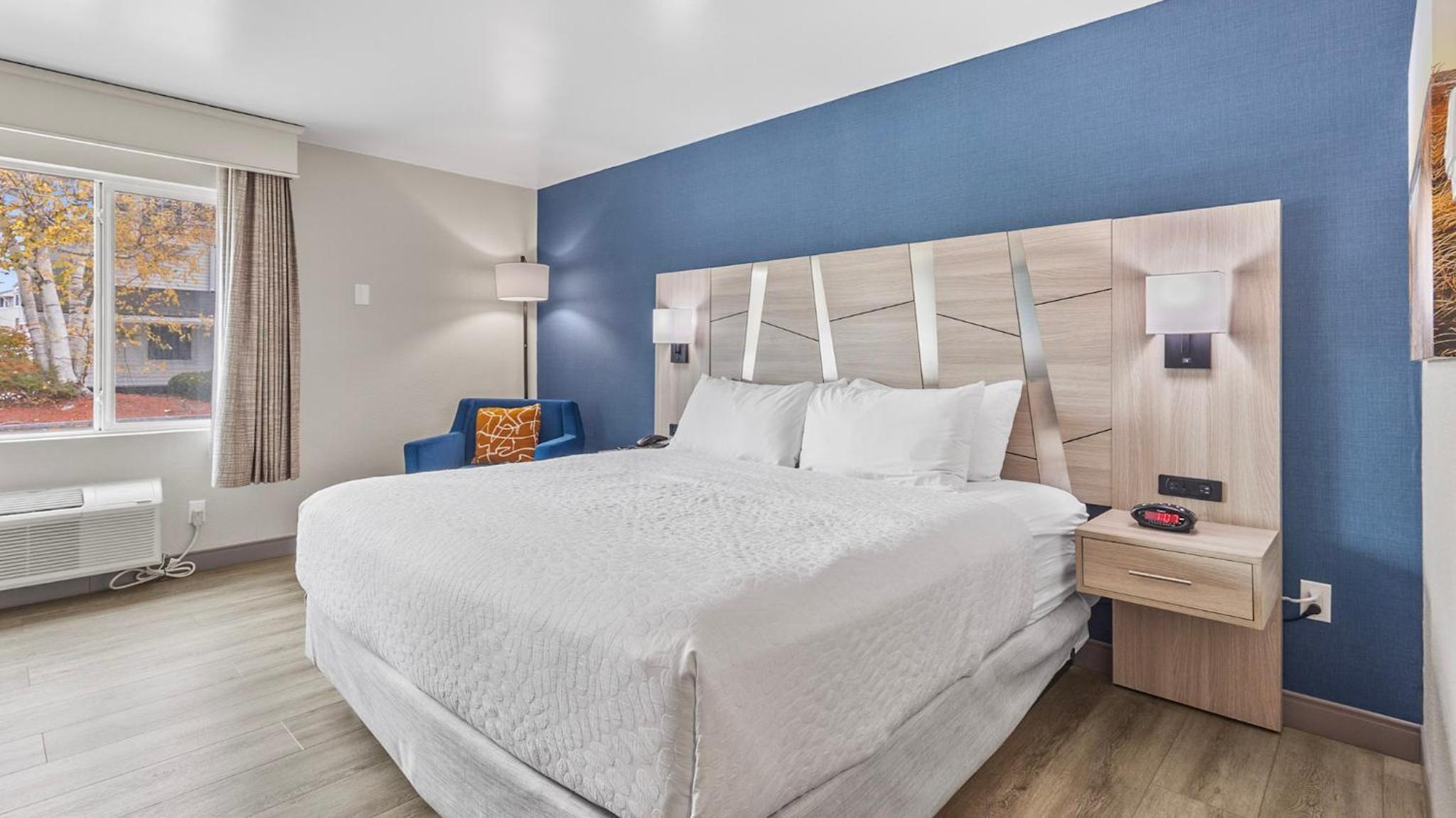King Room with Roll-in-Shower - Disability Access/Non-Smoking - Photo 1