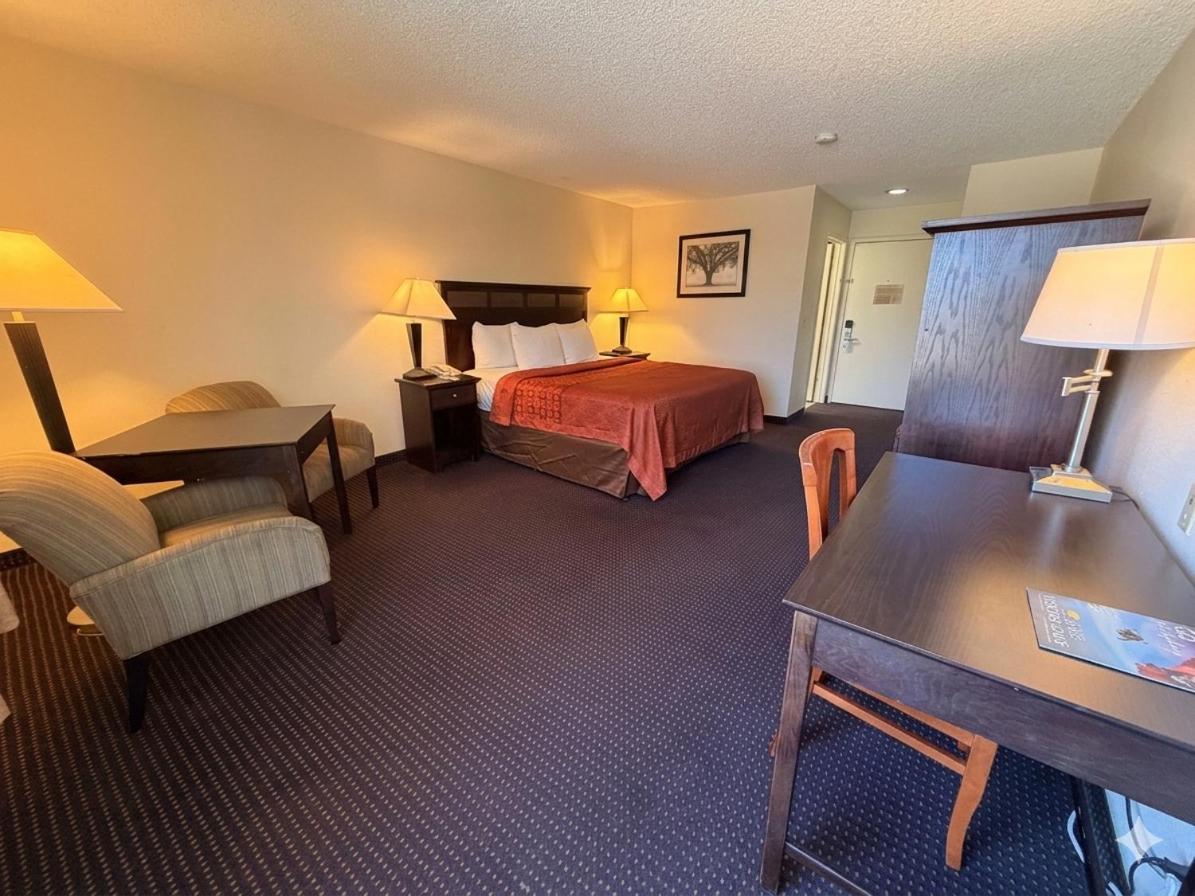 King Room photo 2