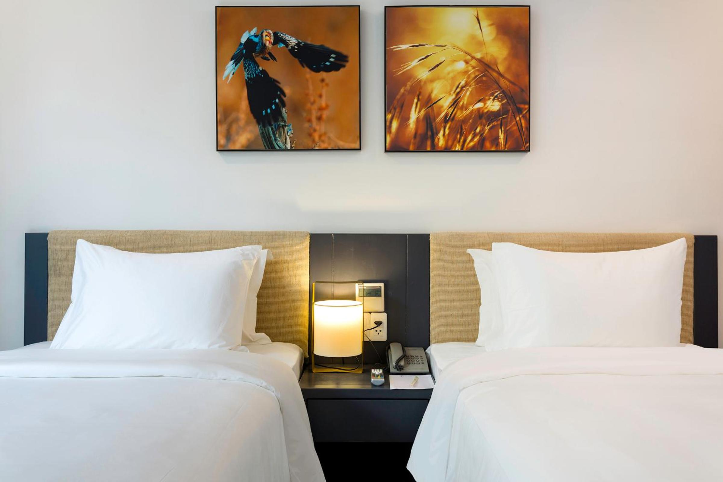 Deluxe Twin Room photo 3