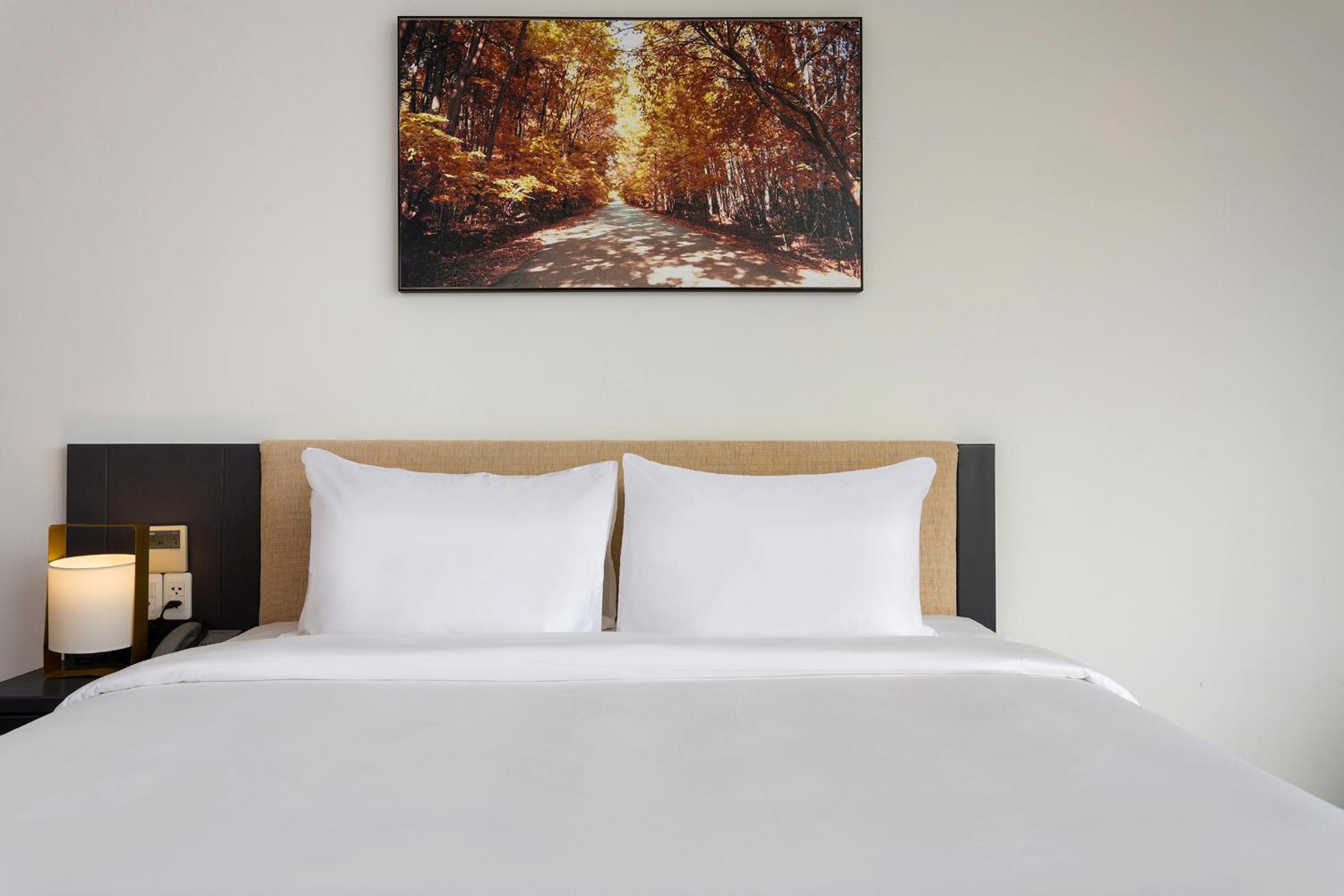 Suite with City View photo 3