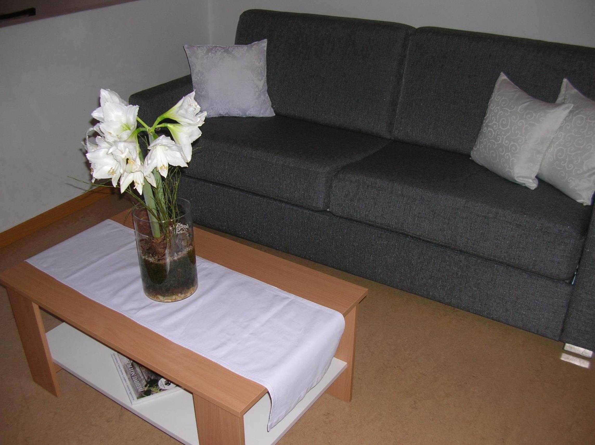 One-Bedroom Apartment - Photo 5