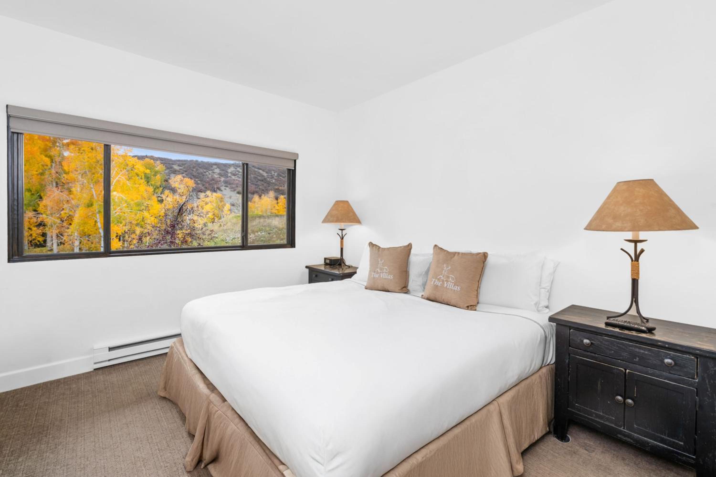 Villas at Snowmass Club - 1624 photo 1