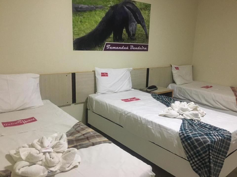 Luxury Triple Room