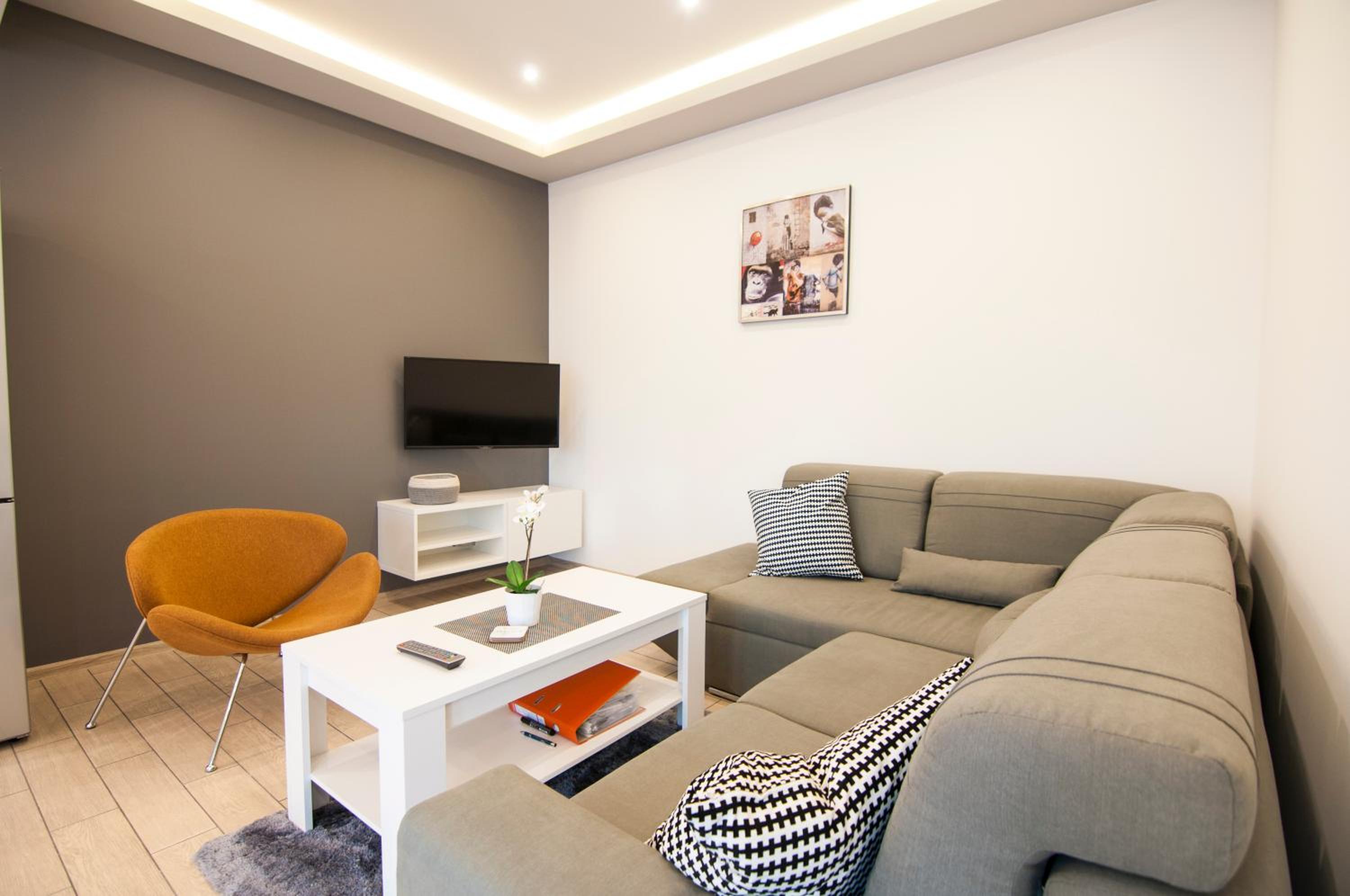 Studio Apartment photo 1