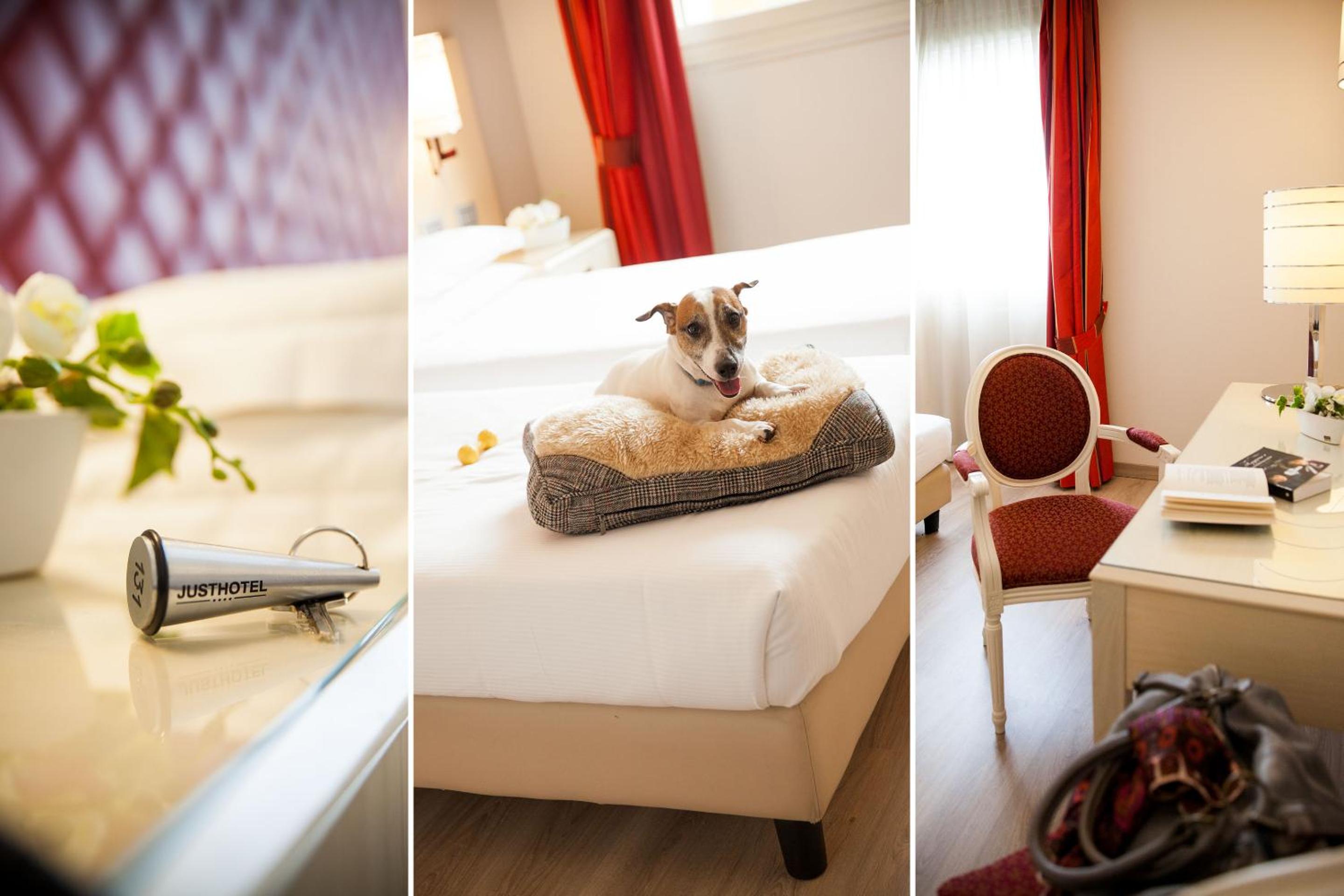 Classic Twin Room - Photo 7