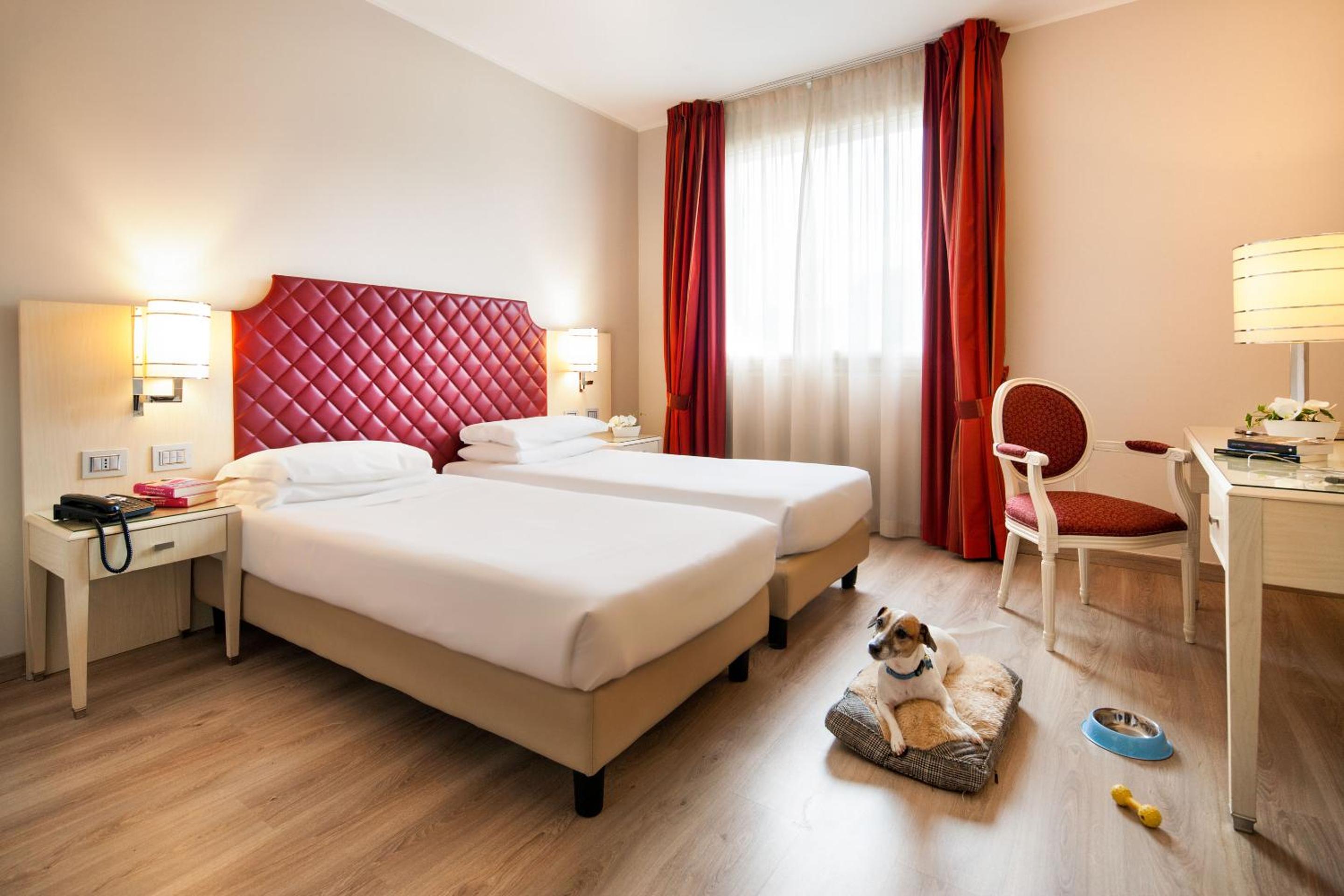 Classic Twin Room - Photo 11