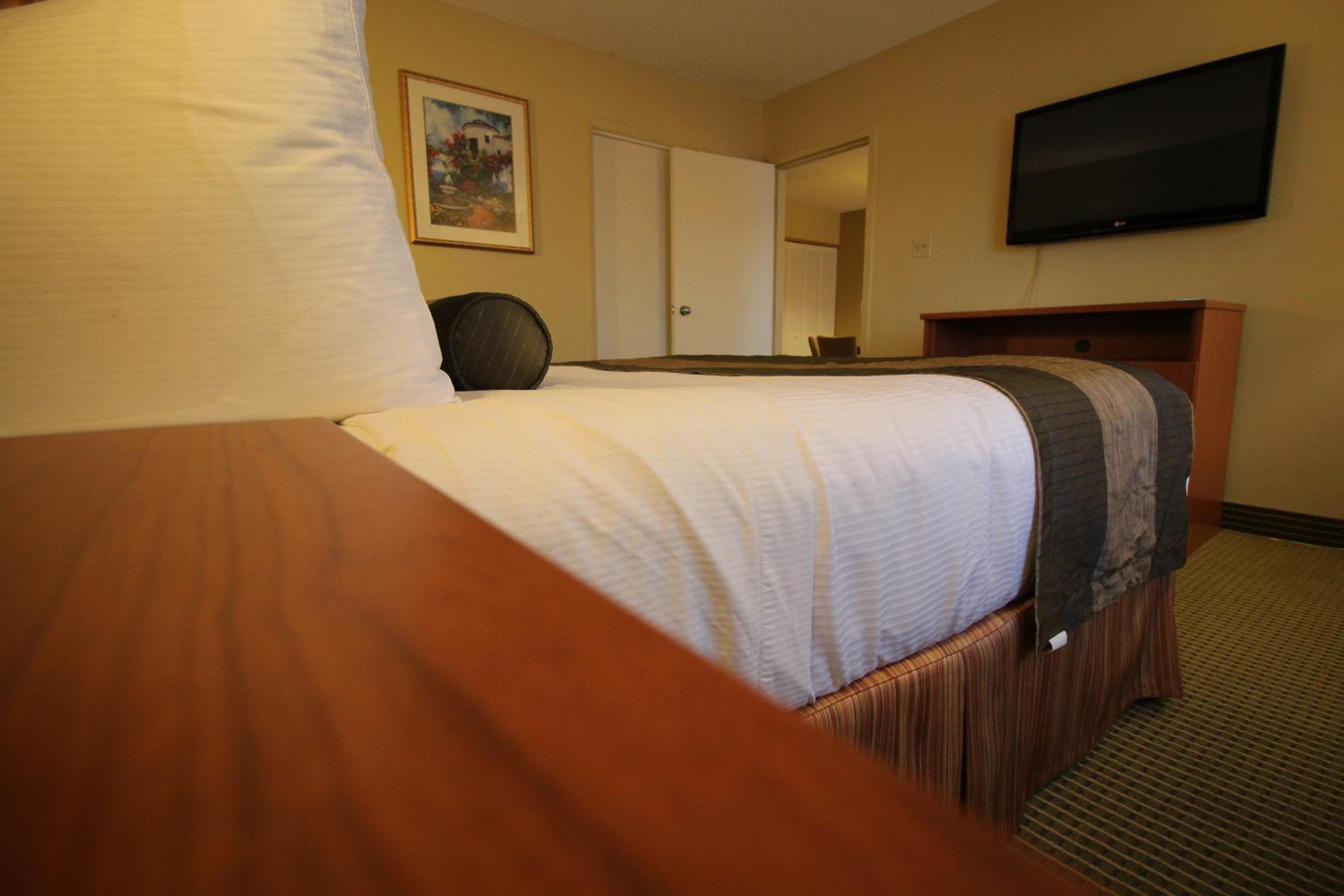 King Suite with Sofa Bed photo 3