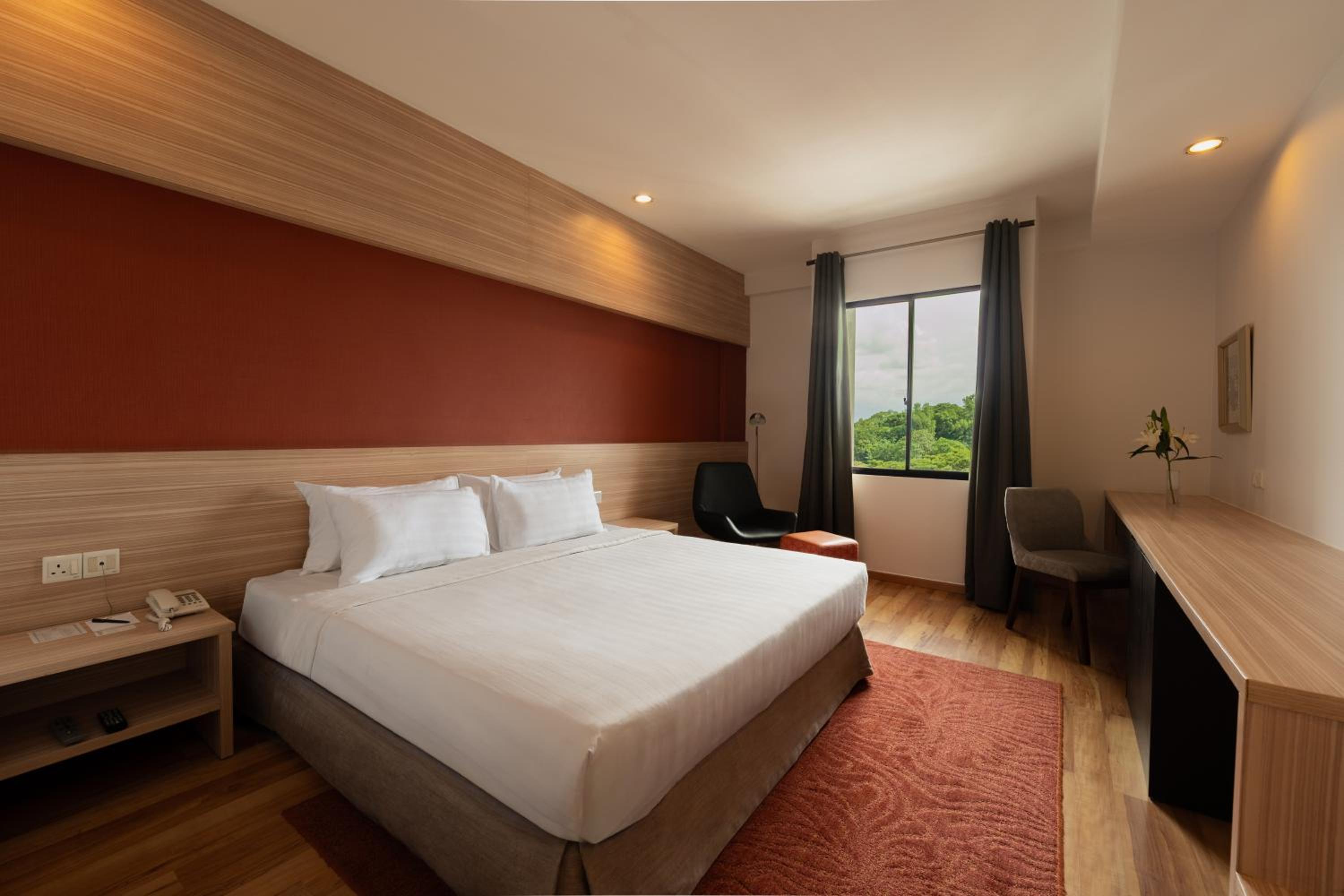 Superior Double or Twin Room photo 2