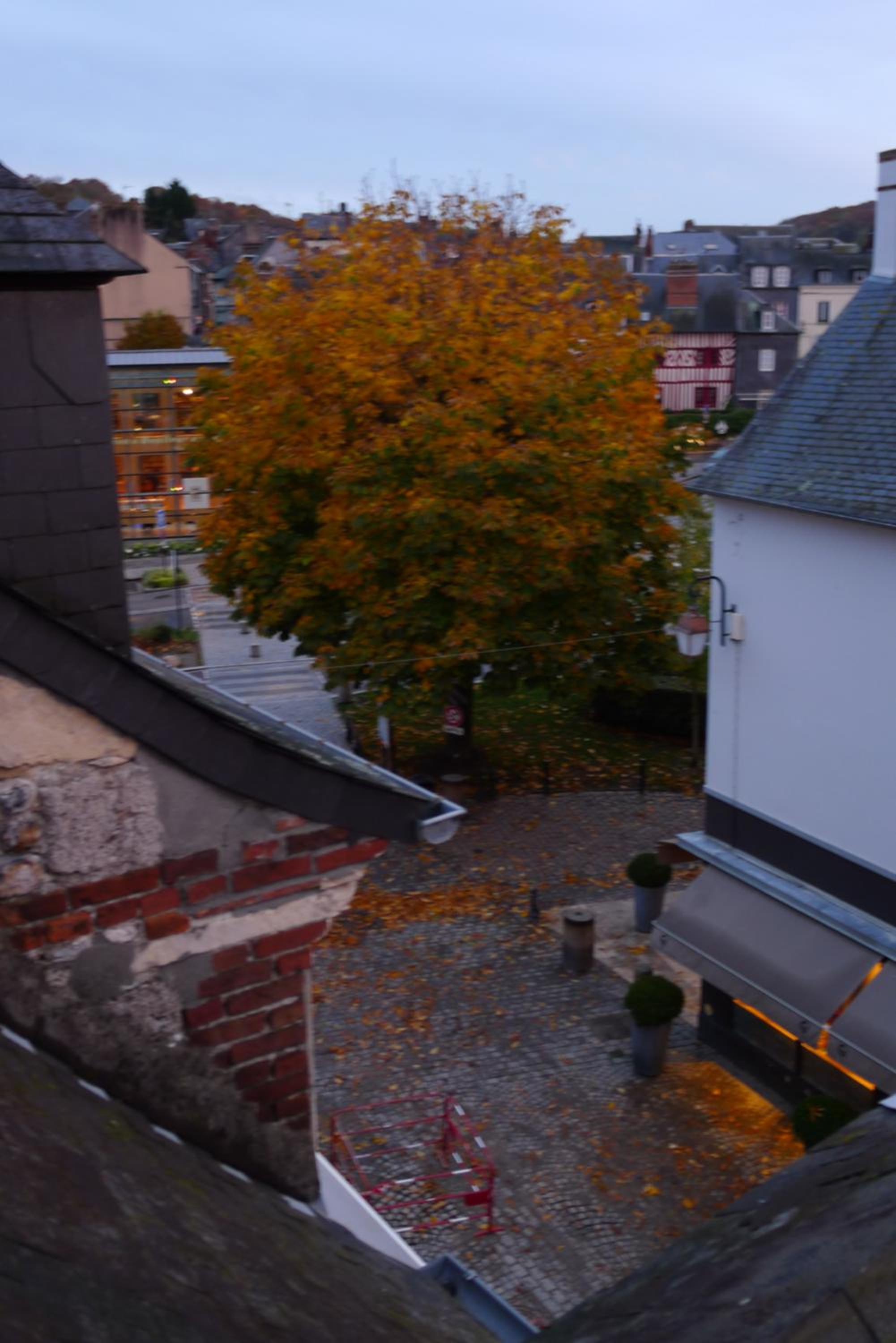 Apartment - Split Level