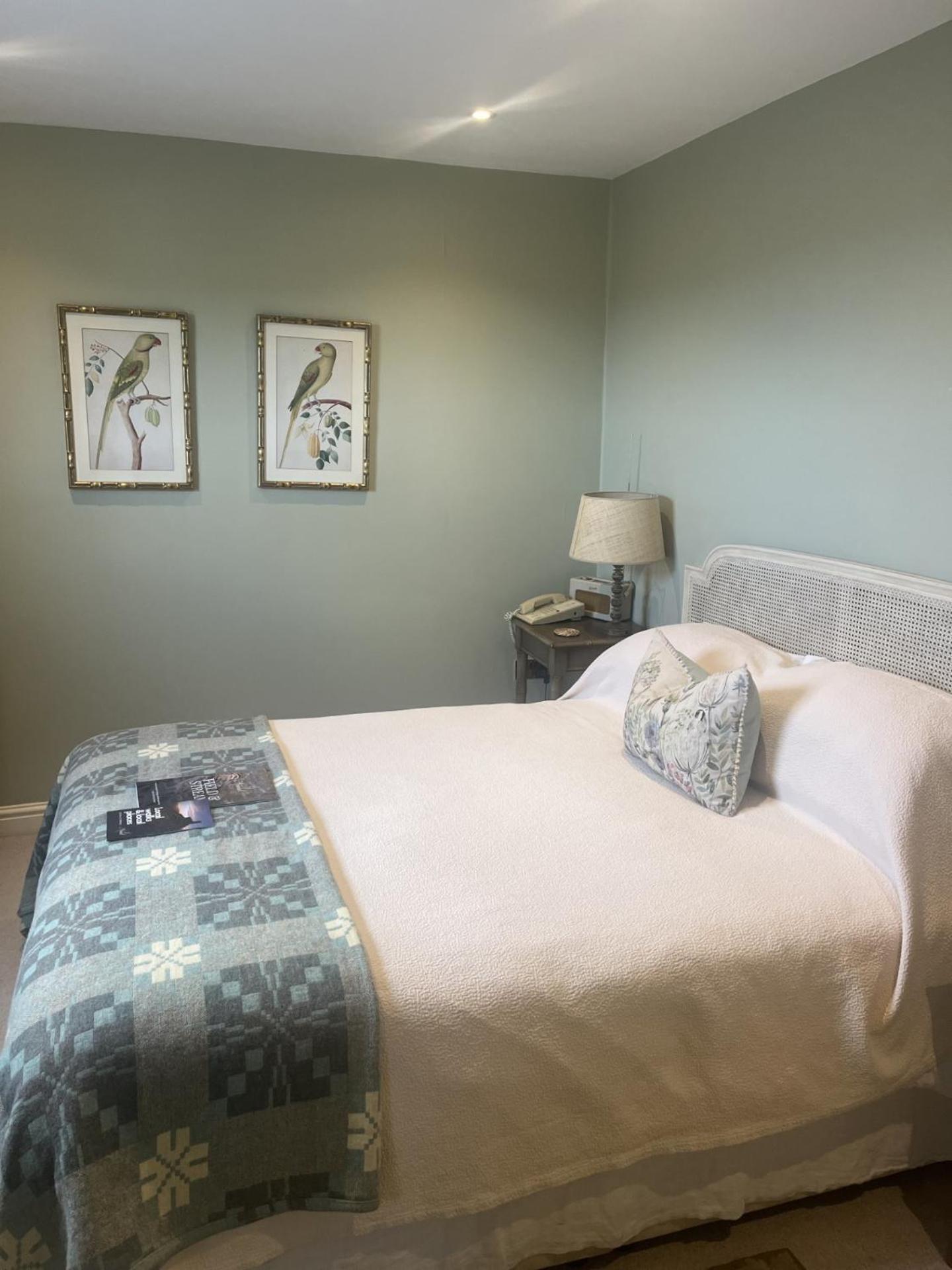 Superior Double Room photo 3