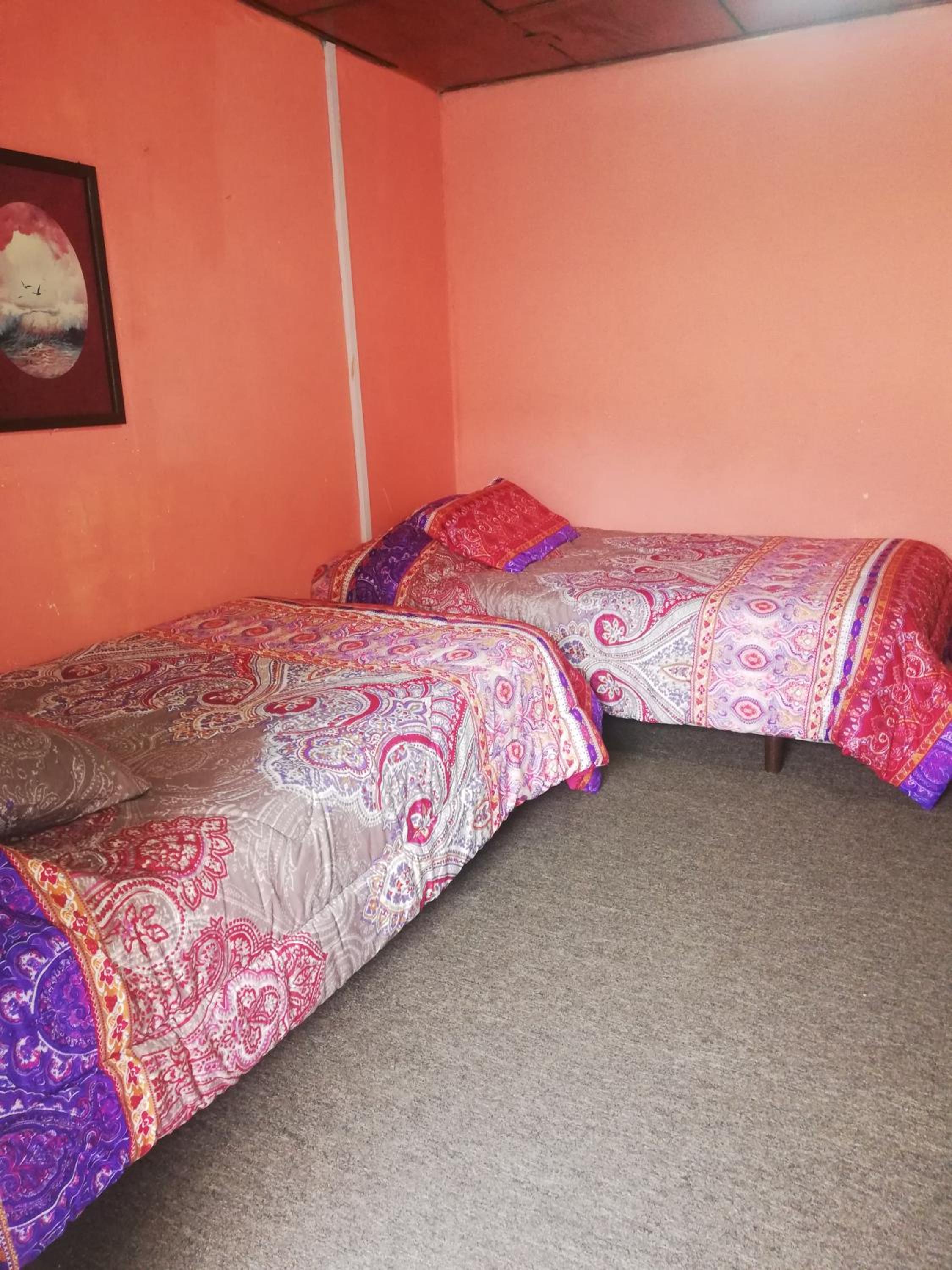 Standard Twin Room with Garden View photo 1