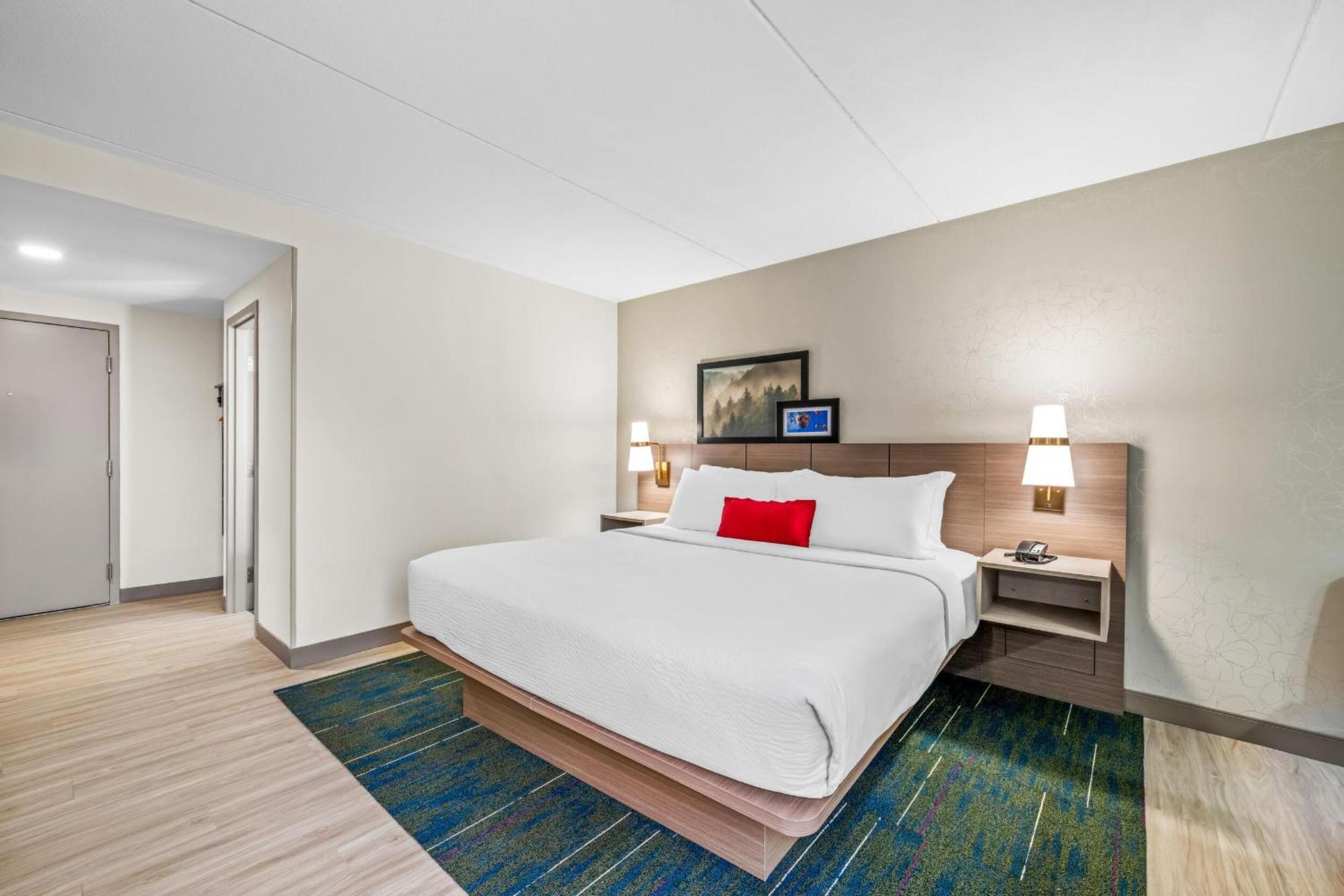 King Room - Photo 1
