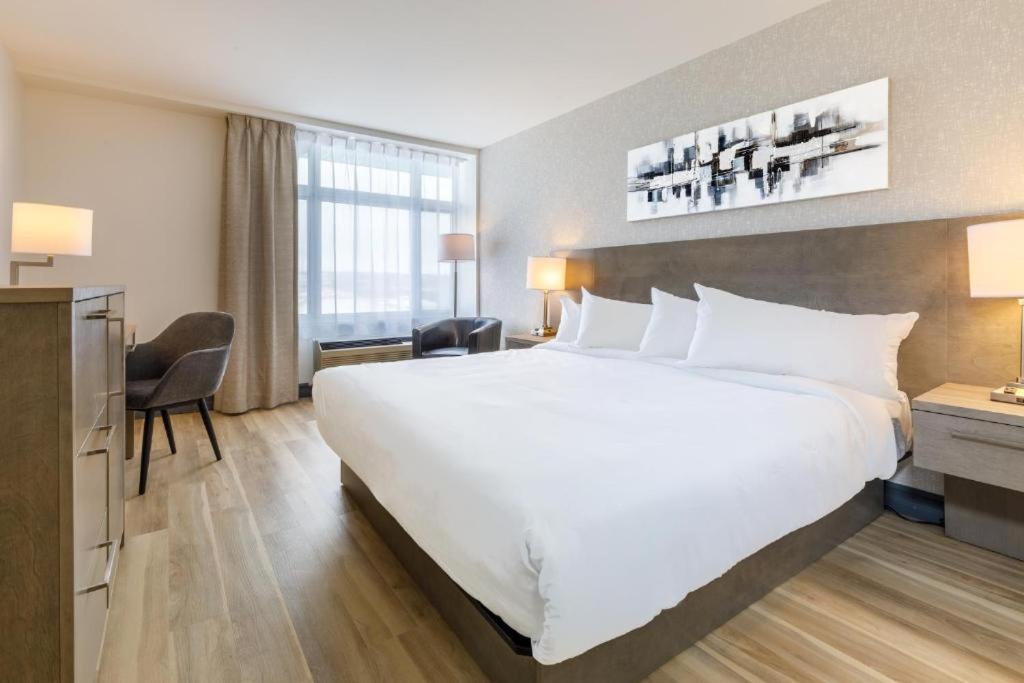 Executive Suite photo 1