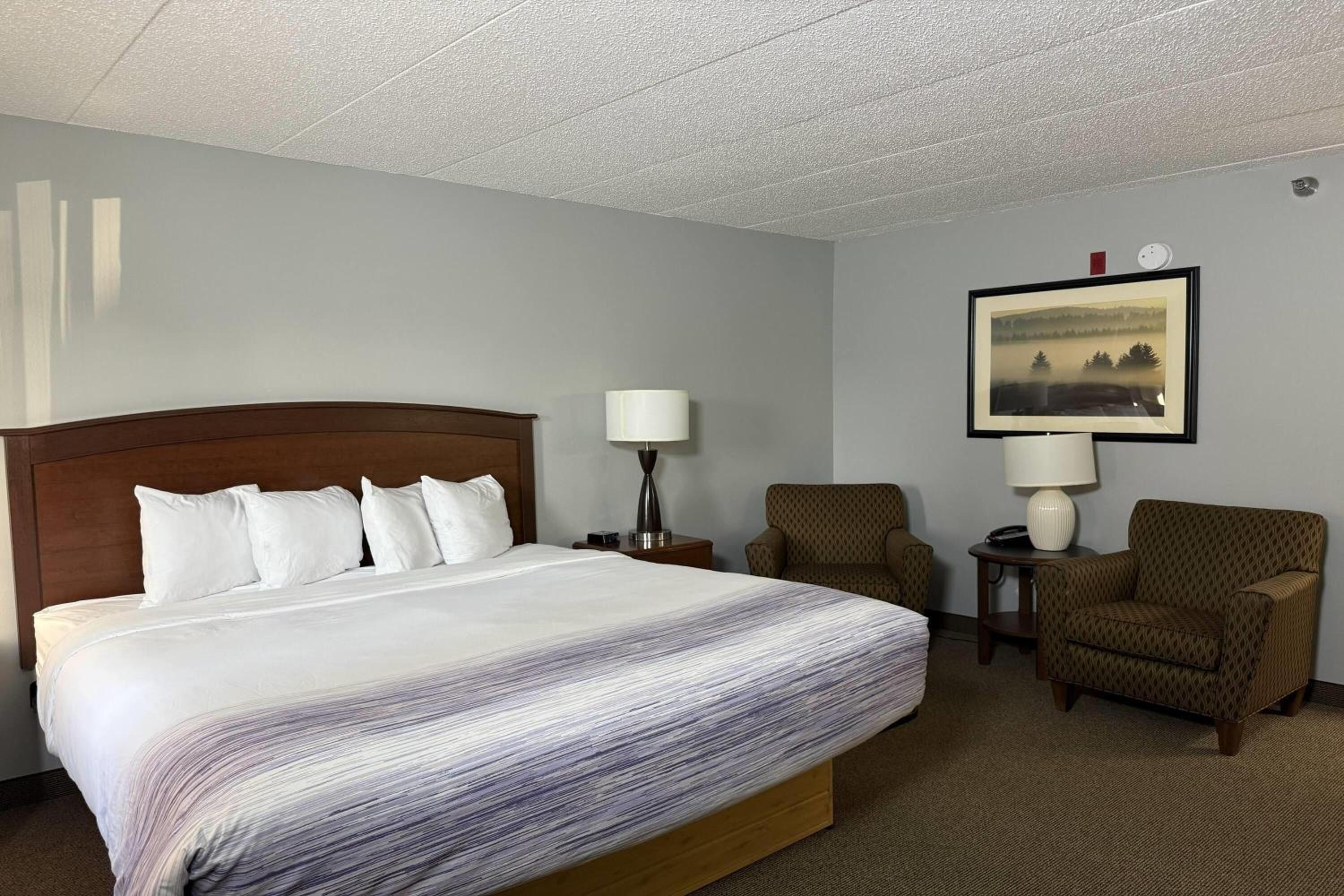 Queen Room - Mobility Access/Non-Smoking - Photo 1
