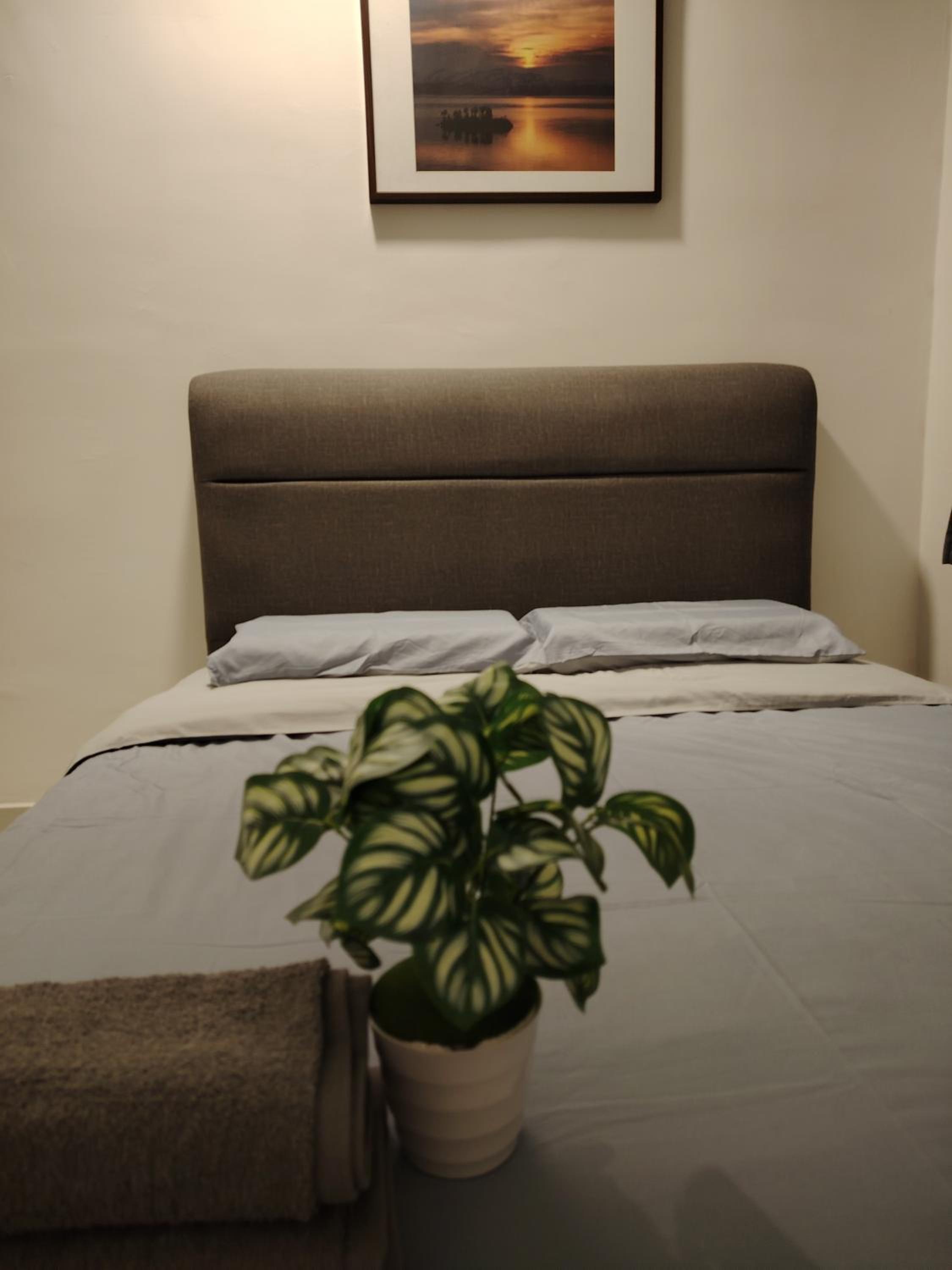 Apartment with City View