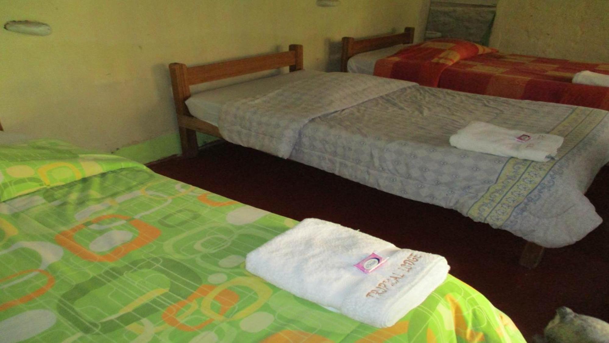 Triple Room with Shared Bathroom photo 2