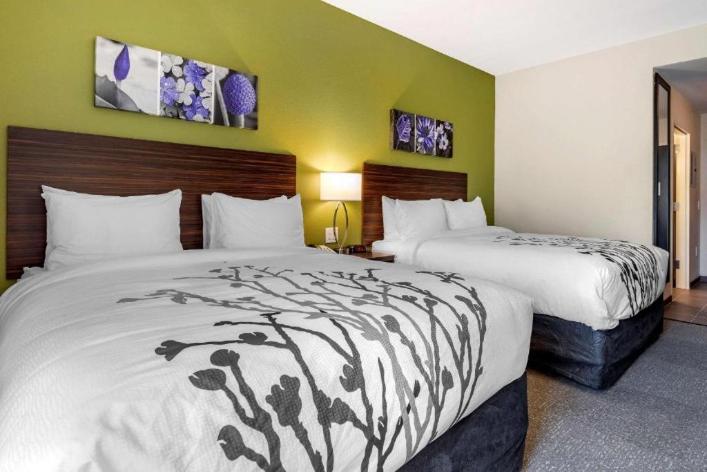 Standard Queen Room with Two Queen Beds - Non Smoking