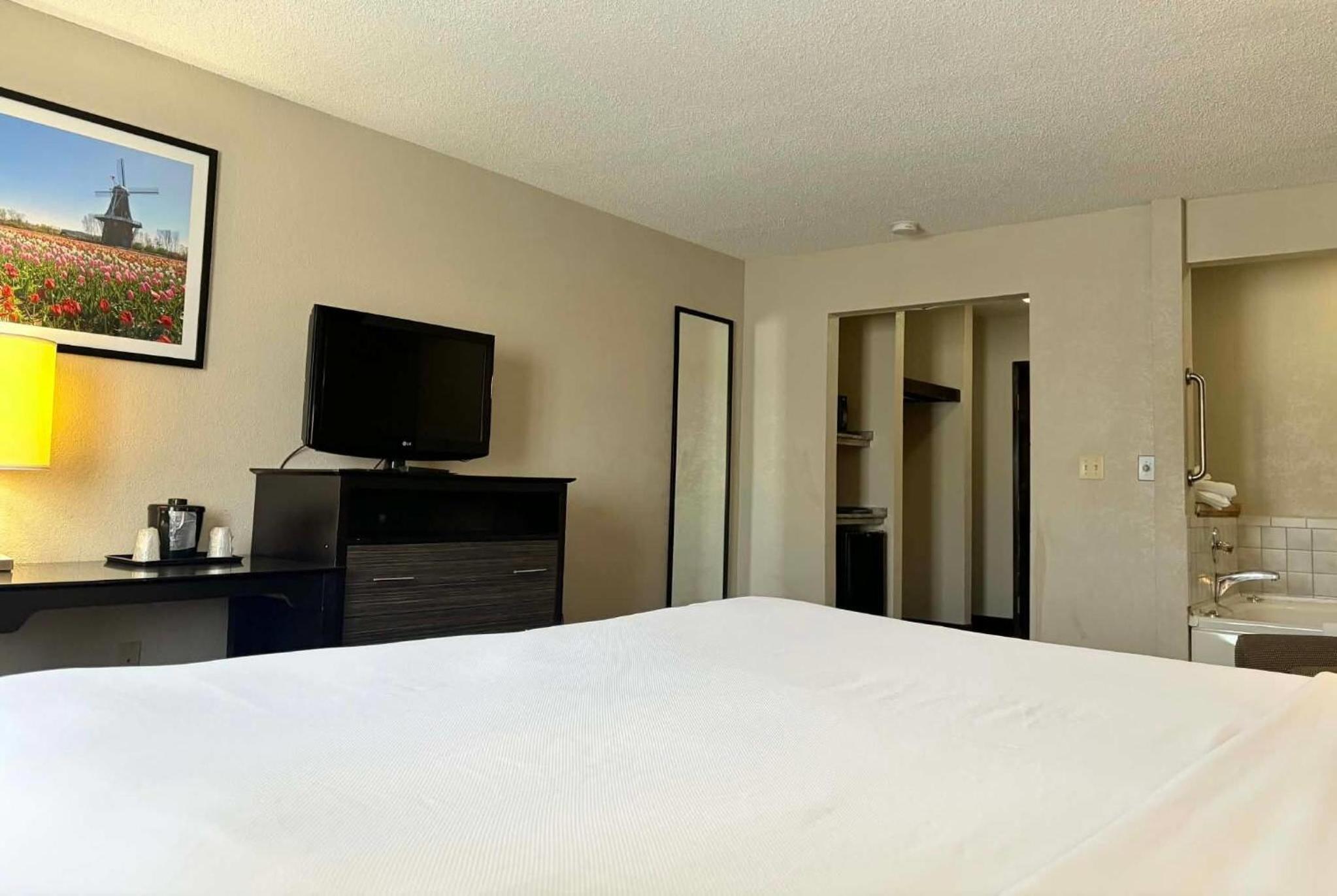 Deluxe King Room - Non-Smoking - Photo 1