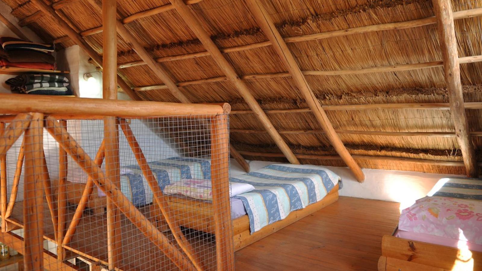 Family Bungalow photo 1
