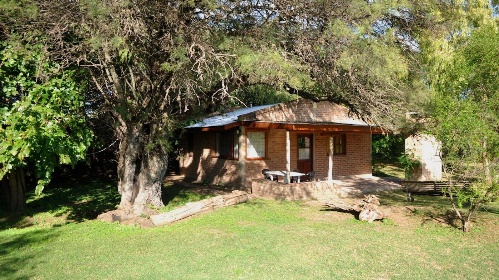Family Bungalow photo 2