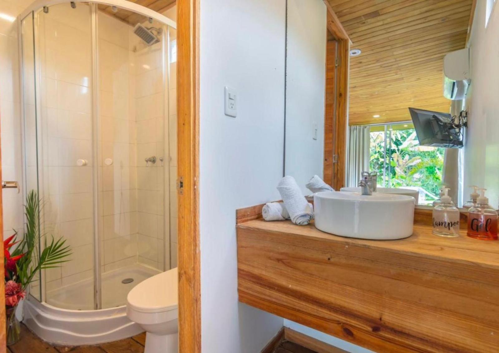 Double Room with Mountain View photo 3