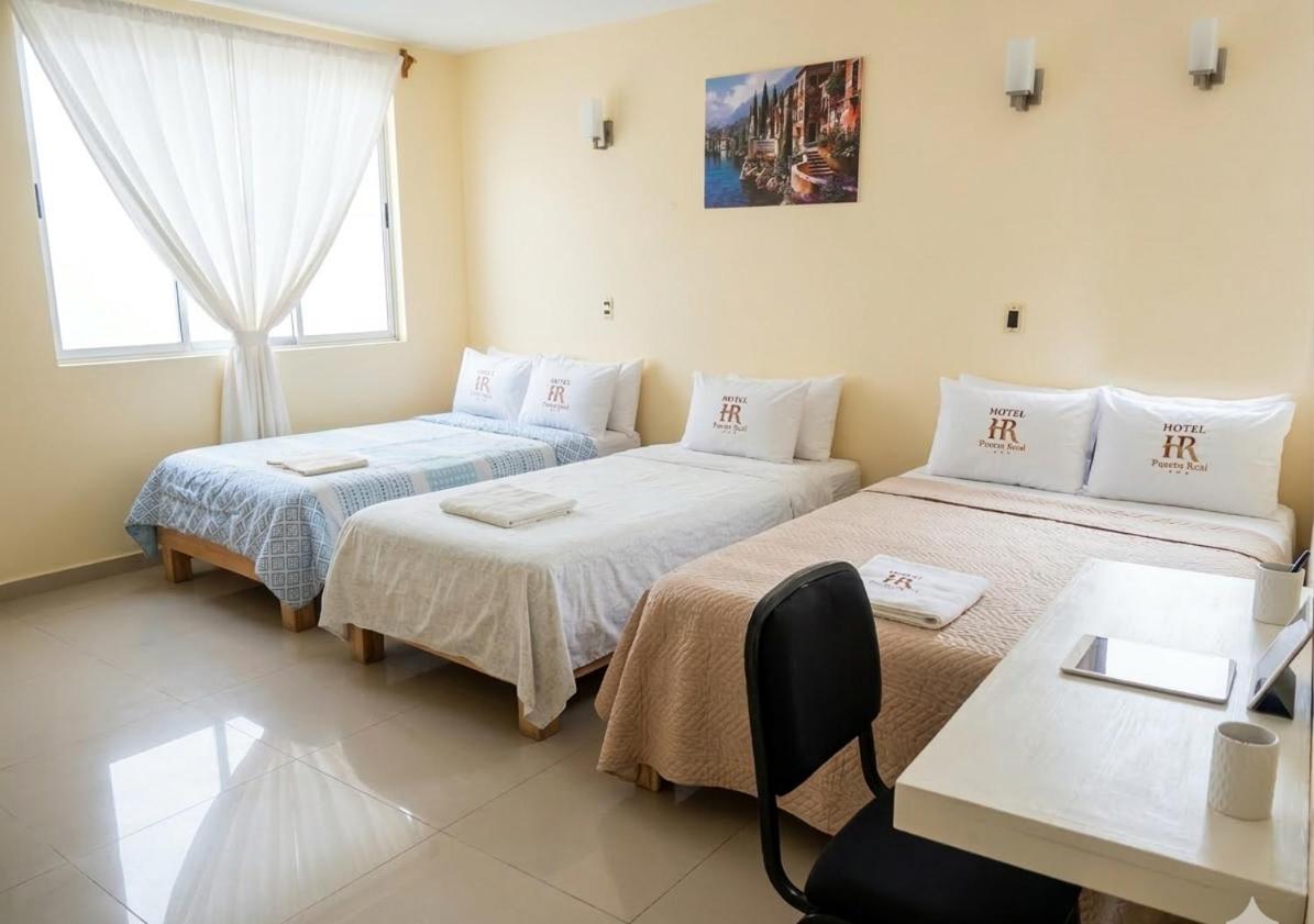 Basic Triple Room photo 1