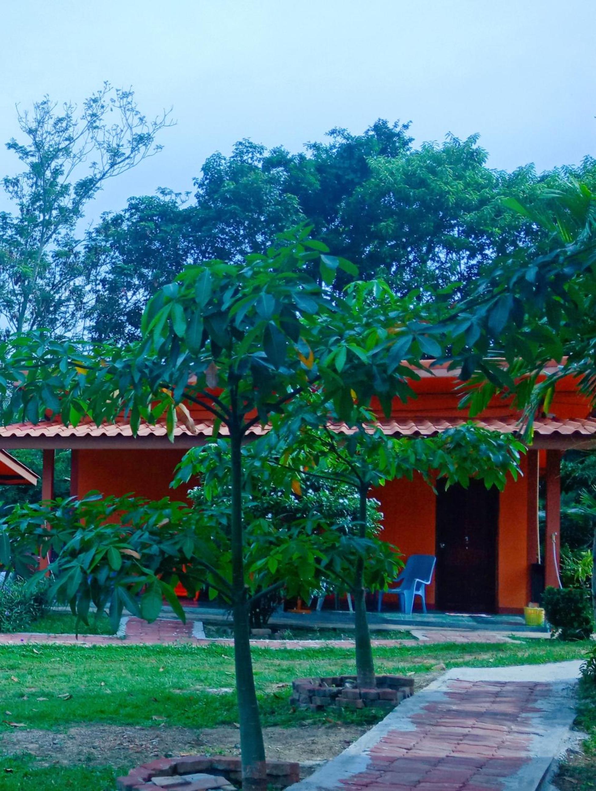 Bungalow with Garden View photo 3