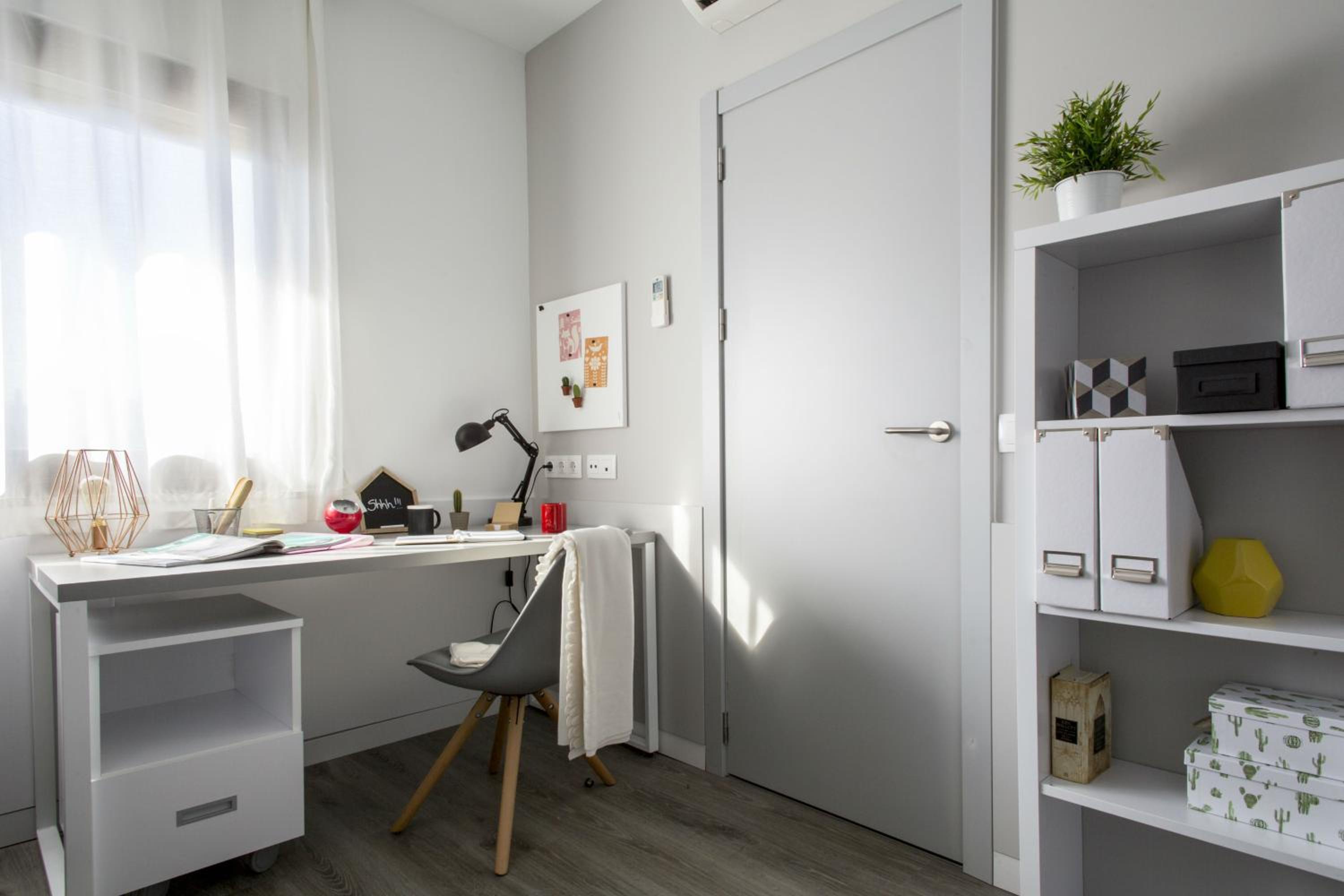 Single Room photo 3
