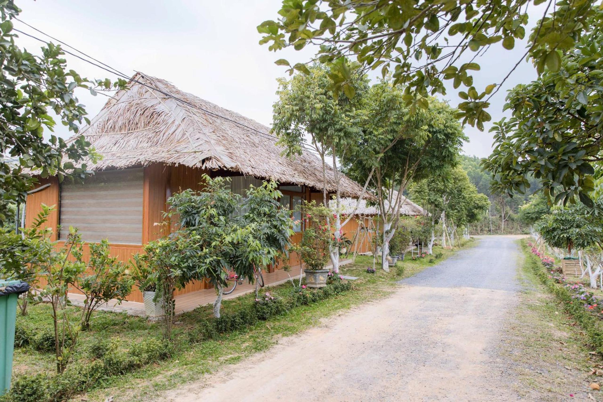 Deluxe Double or Twin Room with Mountain View
