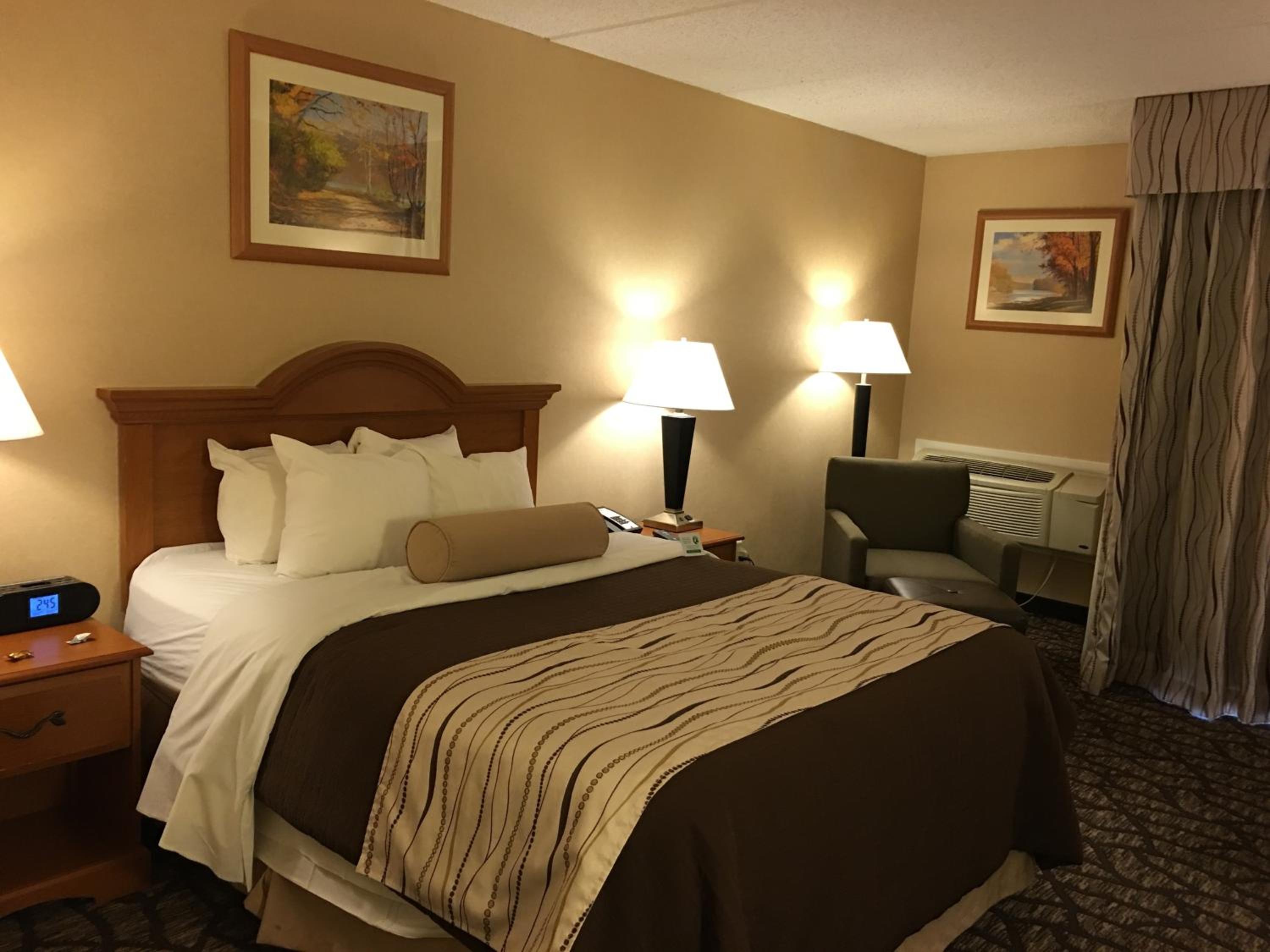 Queen Room - Disability Access/Non-Smoking - Photo 4