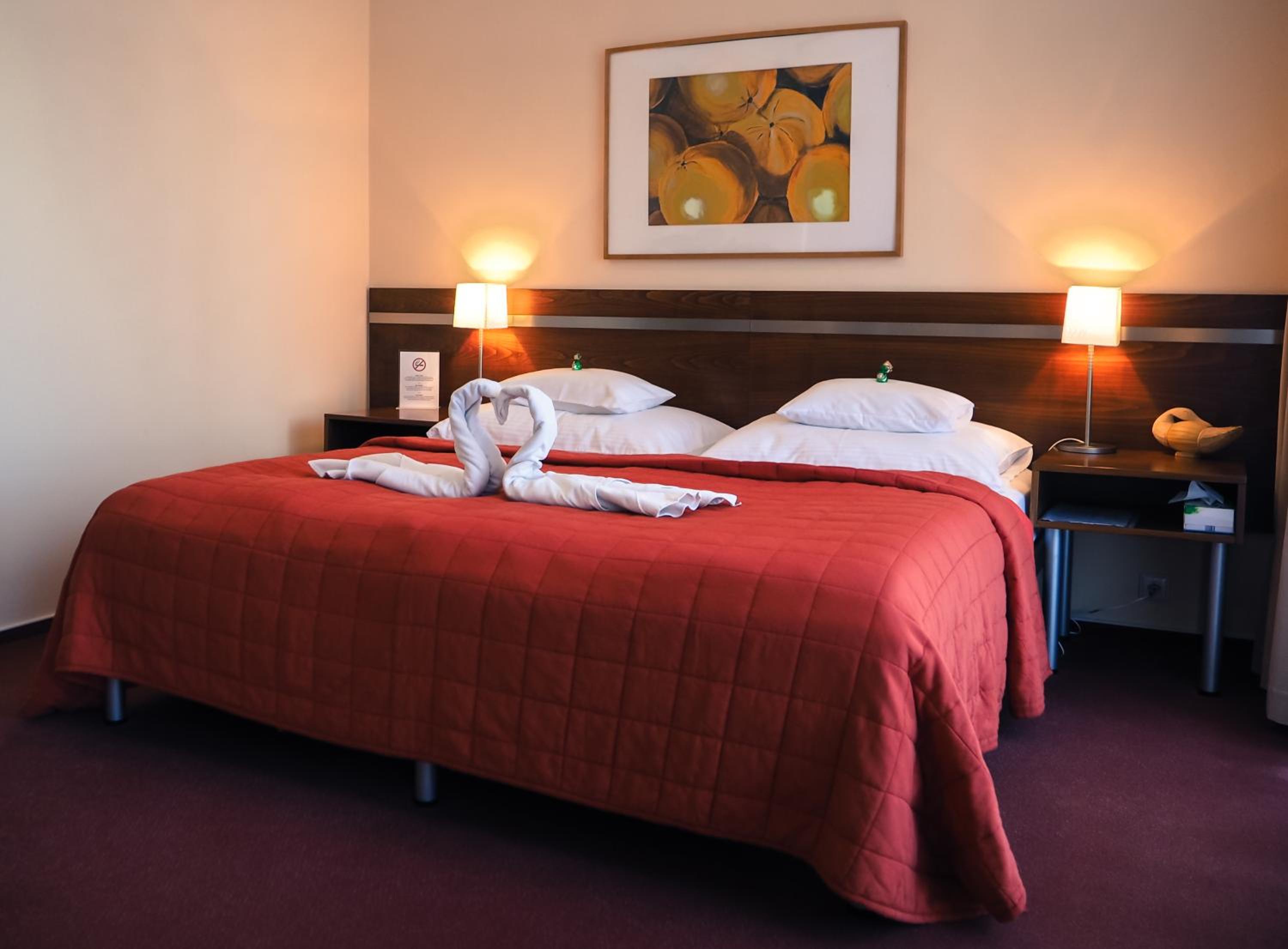 Superior Twin Room with City View photo 1