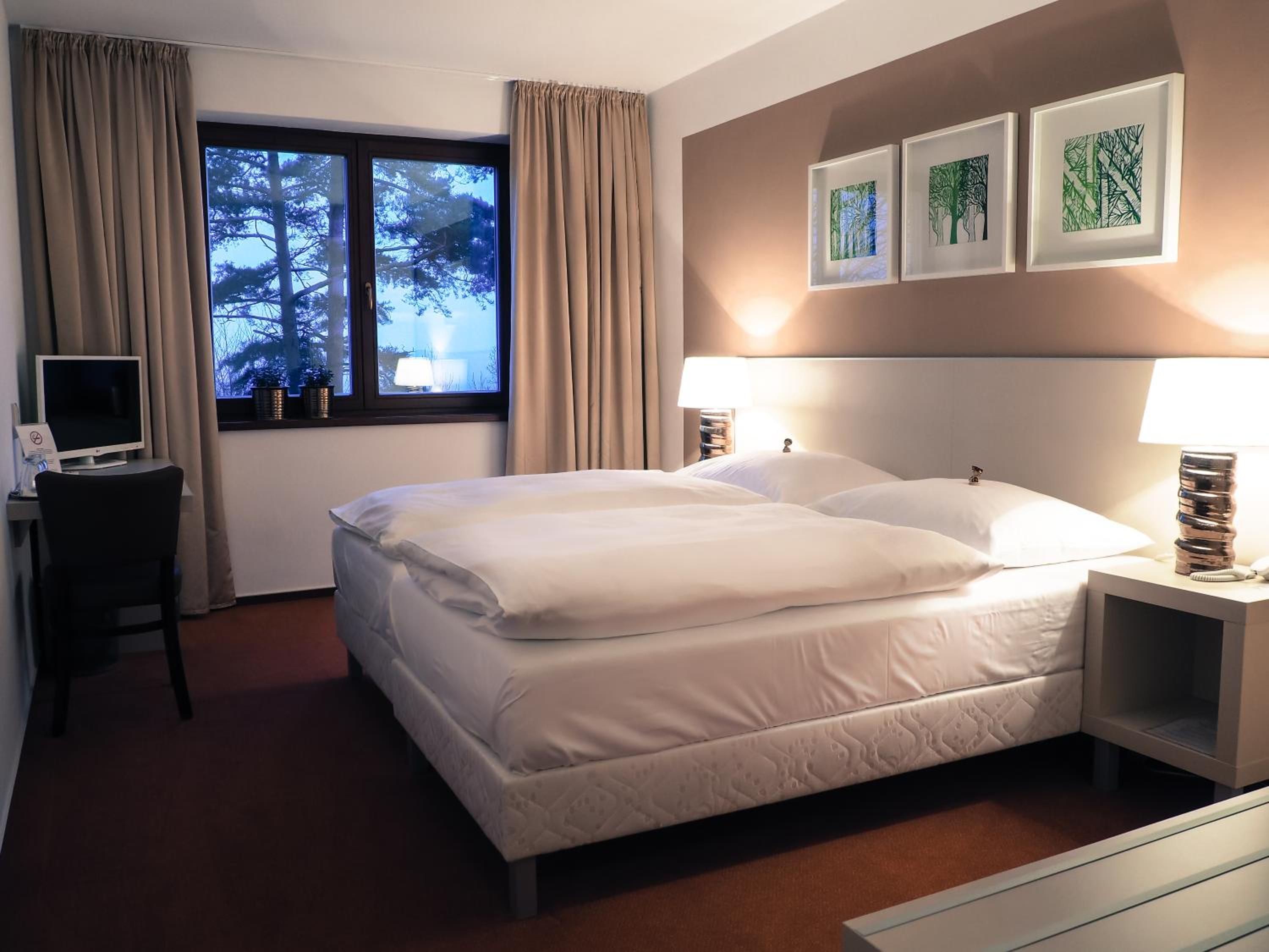 Deluxe Double or Twin Room photo 1