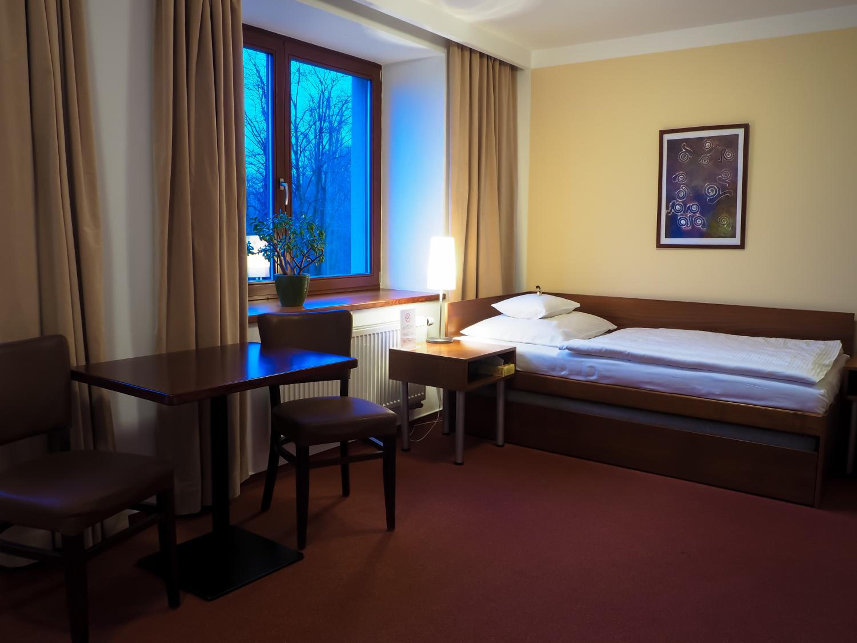 Superior Single Room photo 1