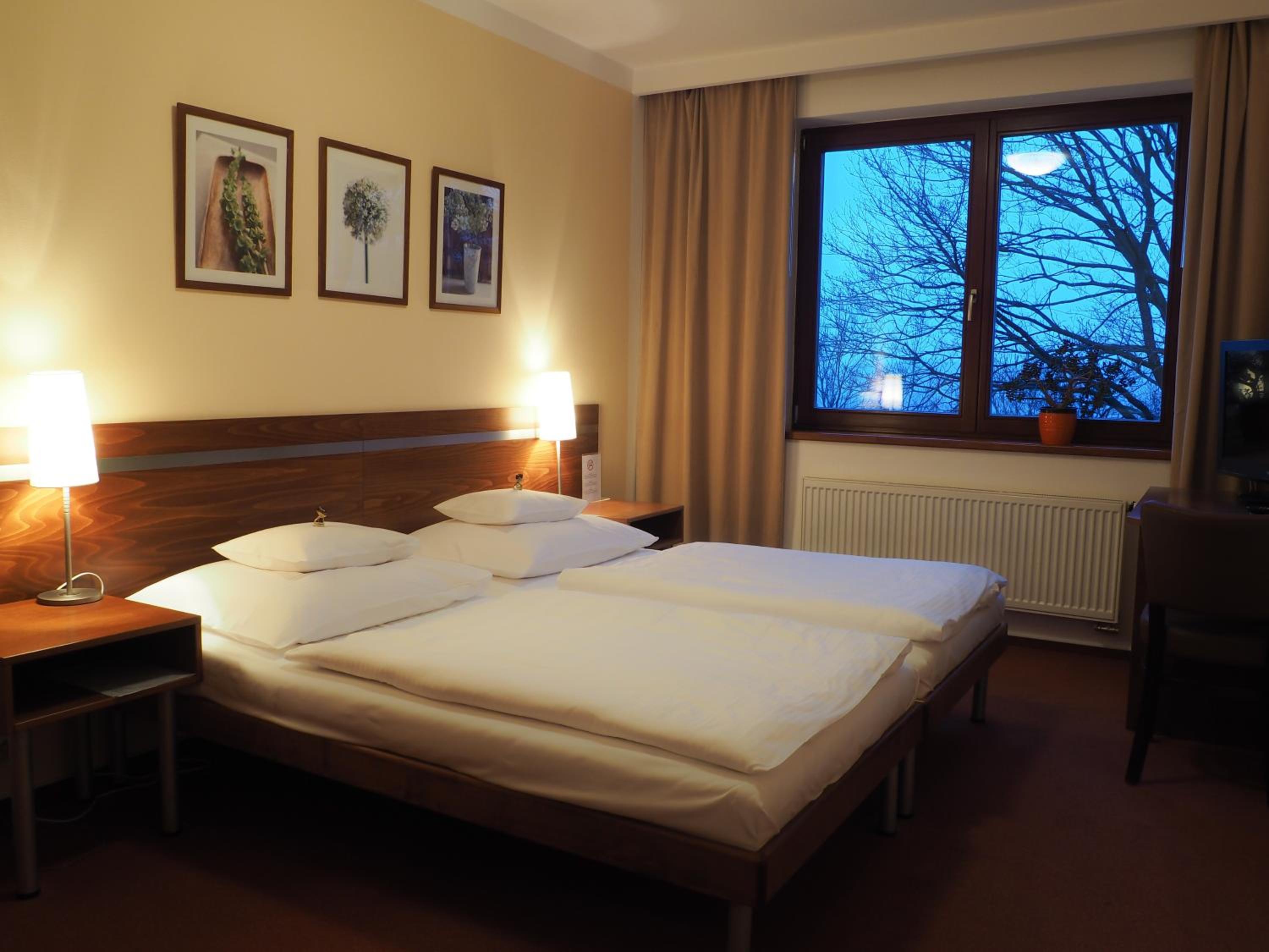 Superior Deluxe Double or Twin Room  photo 1