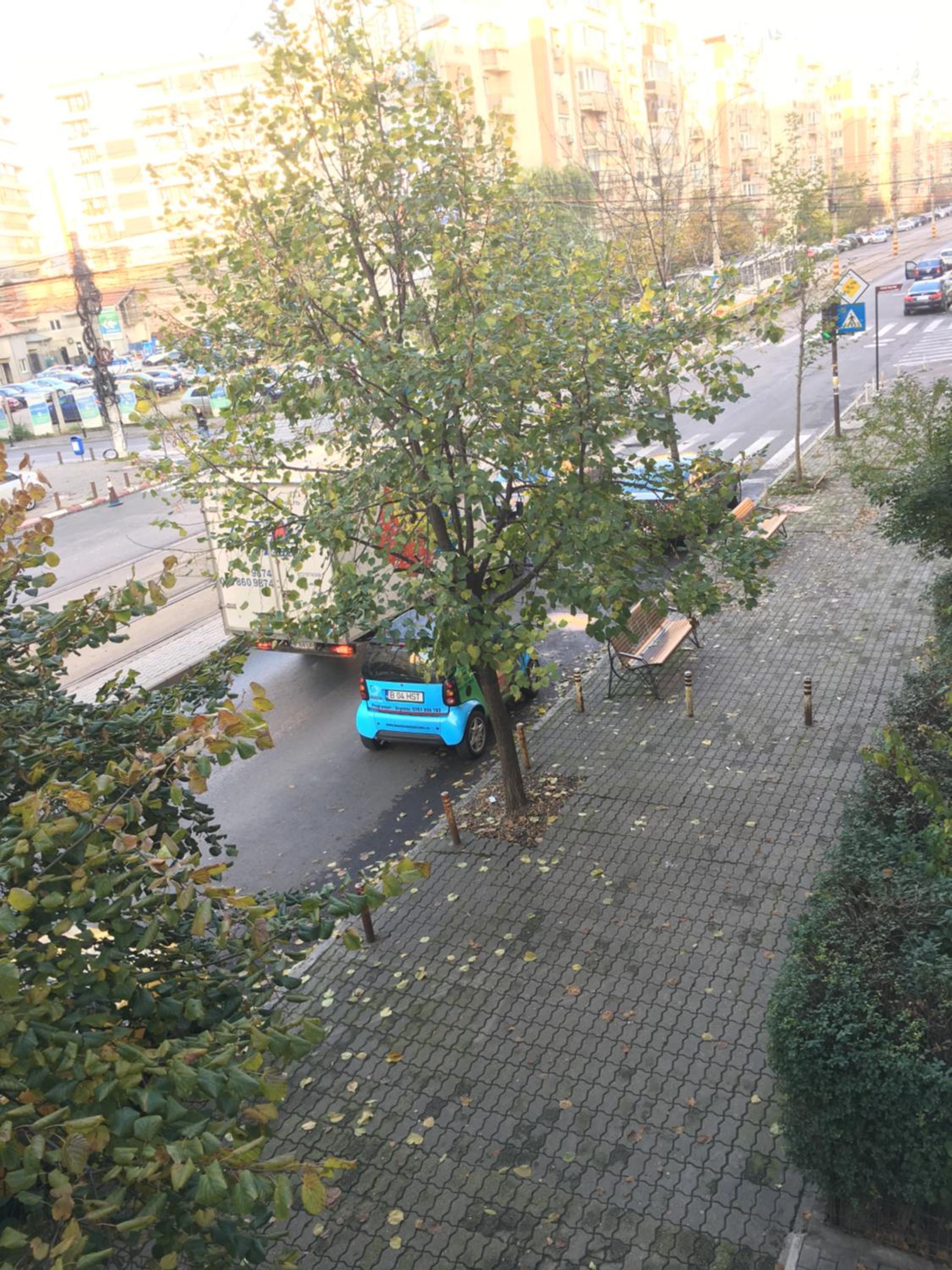 Apartment with Terrace - Photo 23