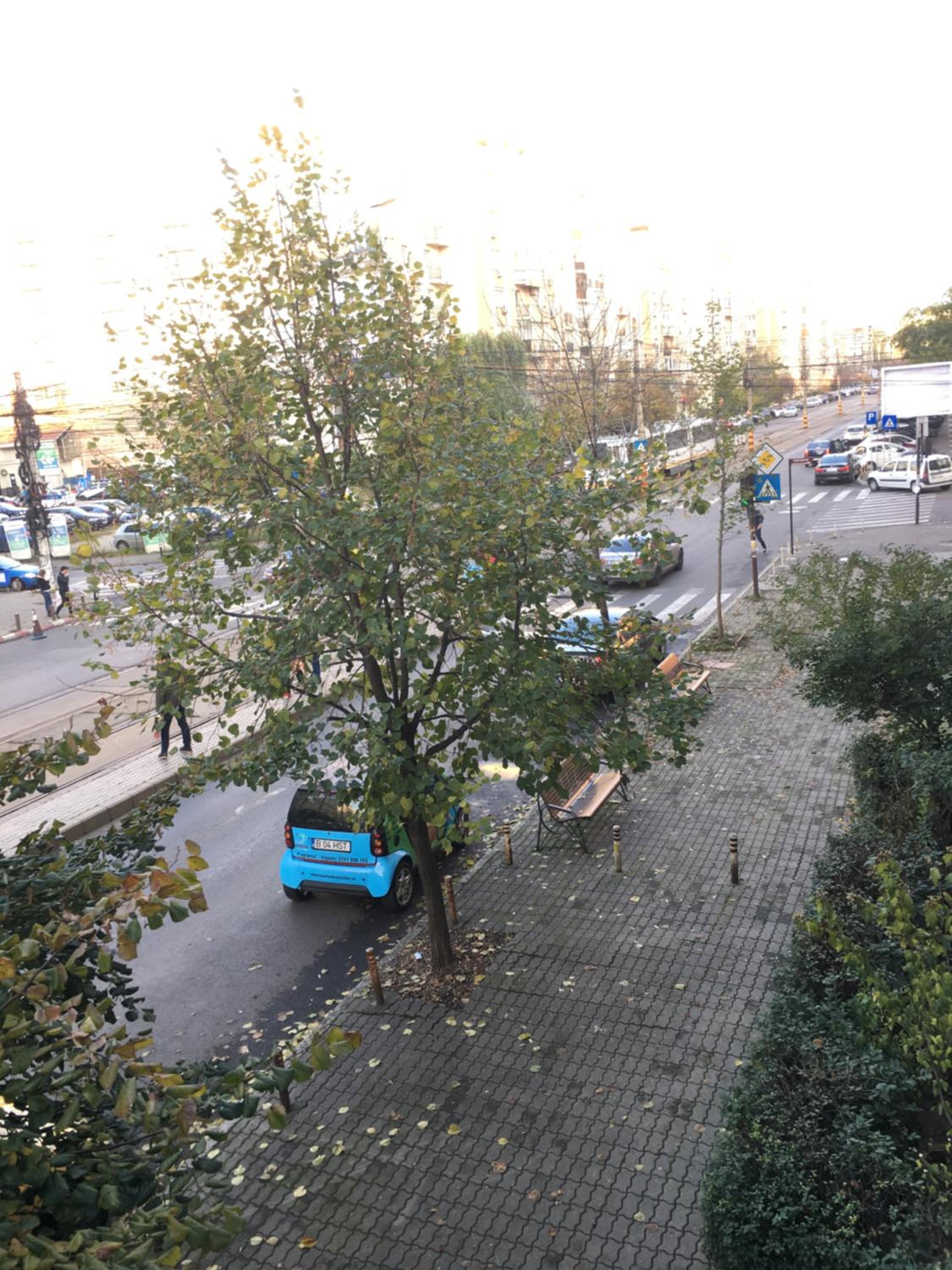 Apartment with Terrace - Photo 25